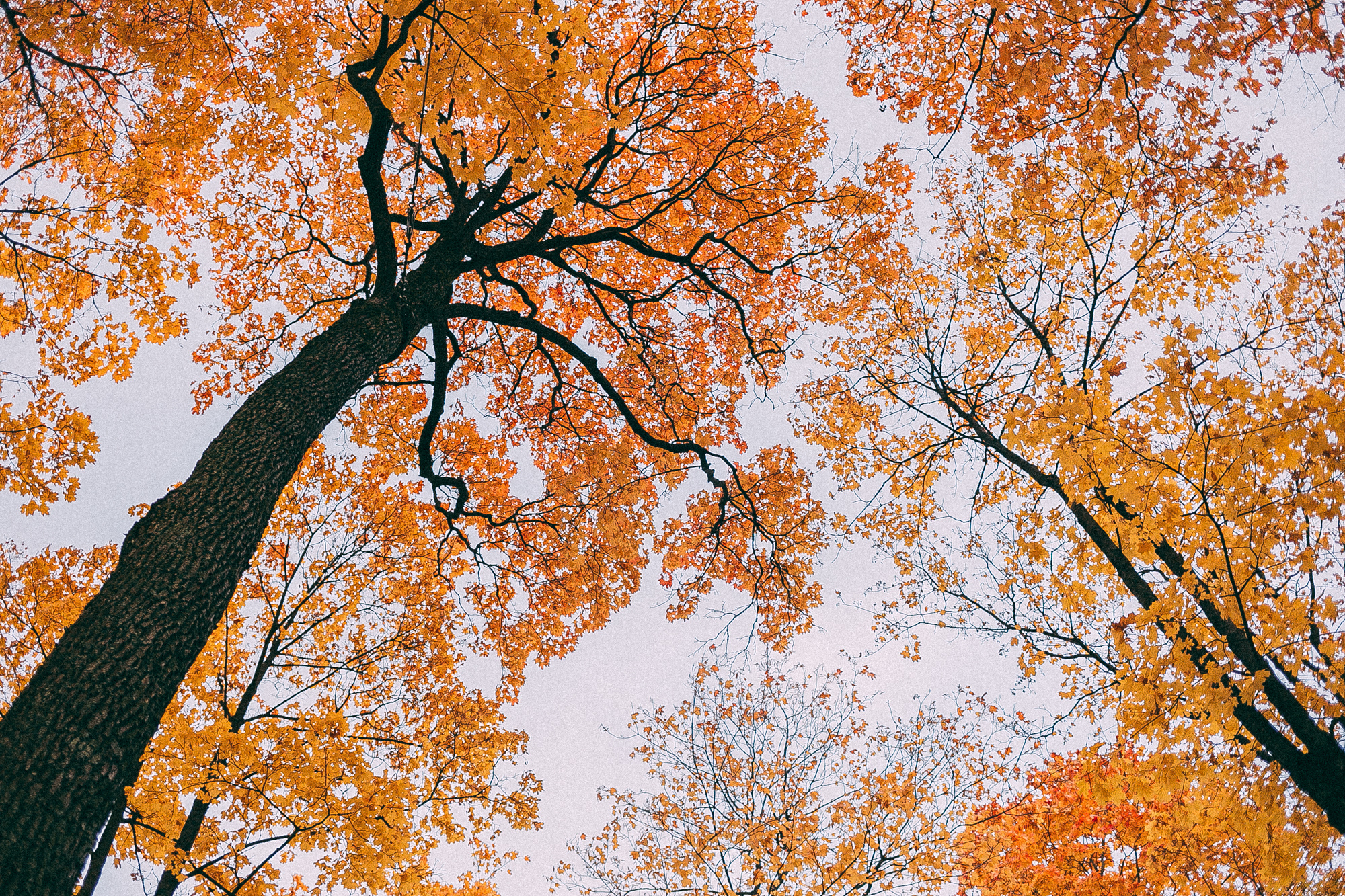 Пушкин. Даша Яковенко Фотограф Спб