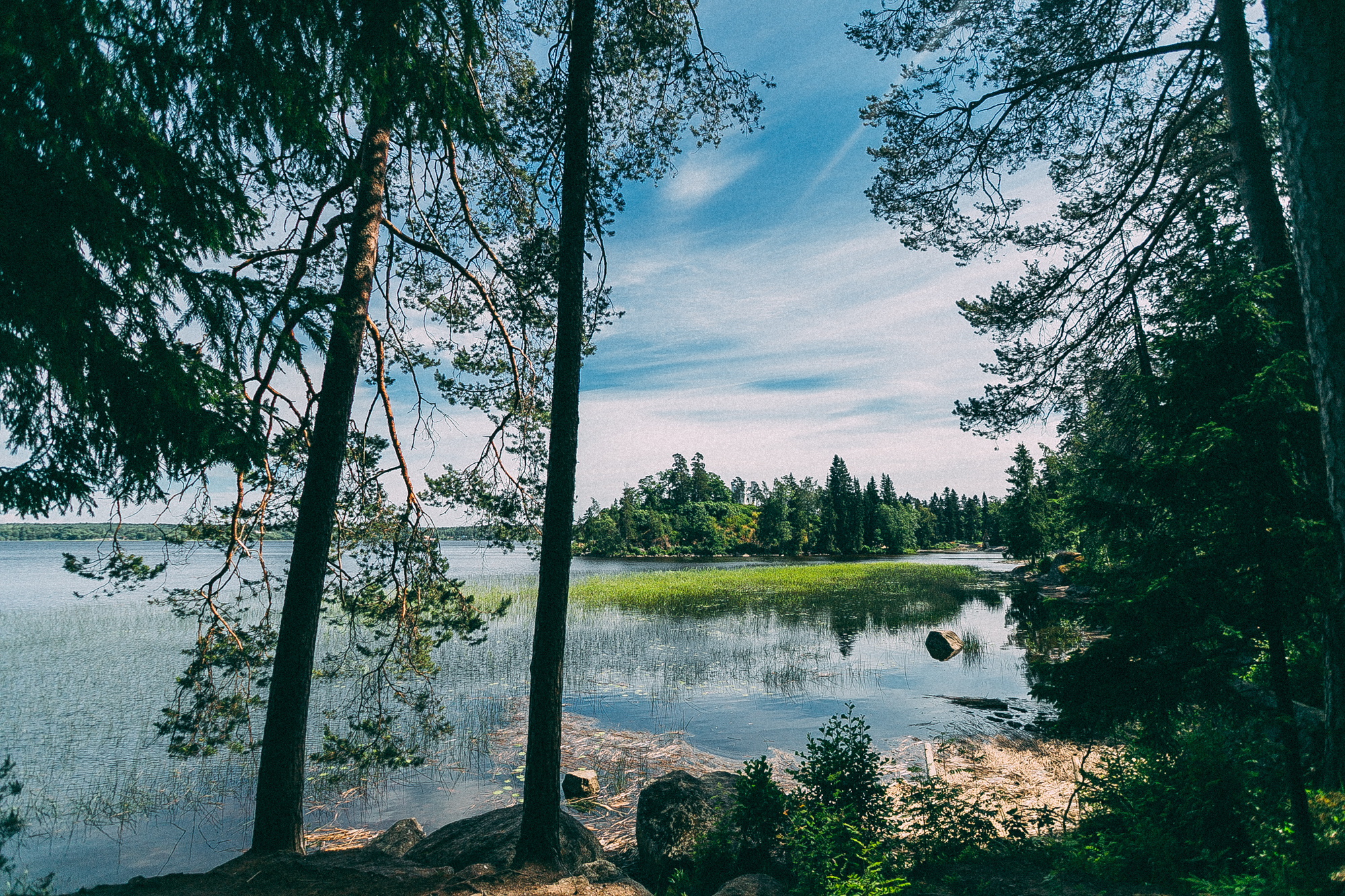 Выборг. Даша Яковенко Фотограф Спб