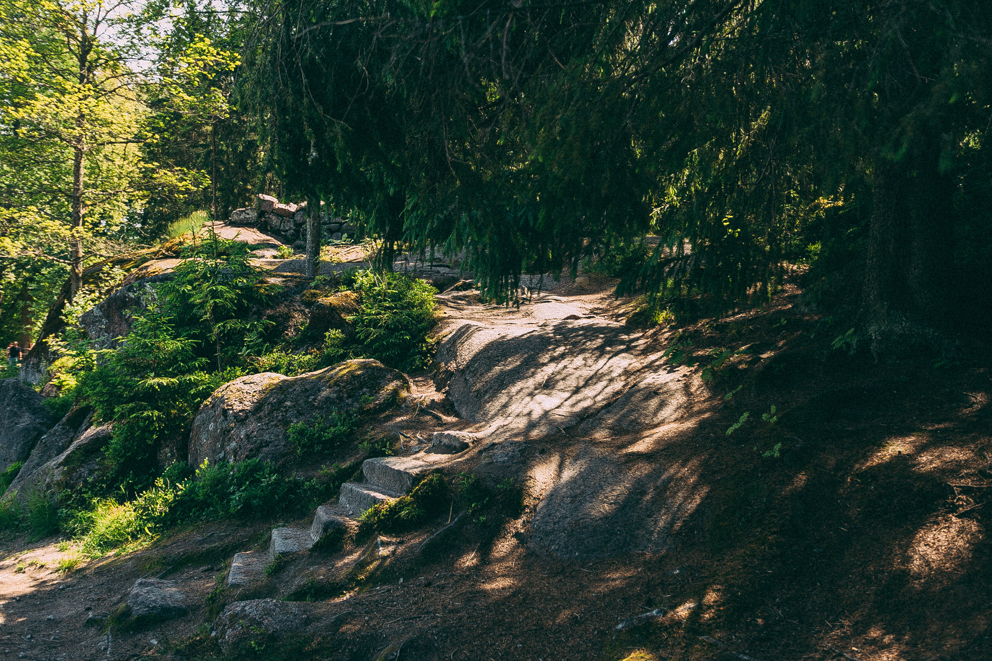 Выборг. Даша Яковенко Фотограф Спб