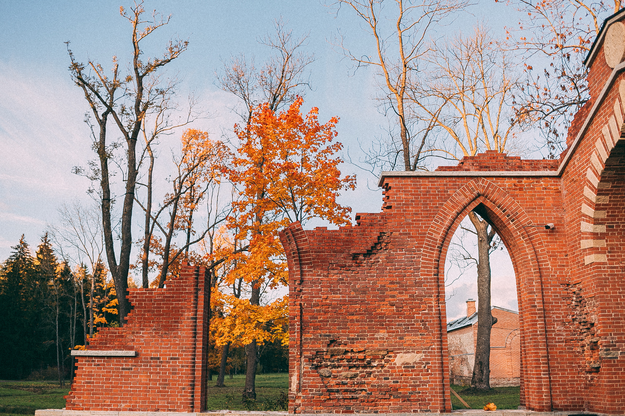 Пушкин. Даша Яковенко Фотограф Спб