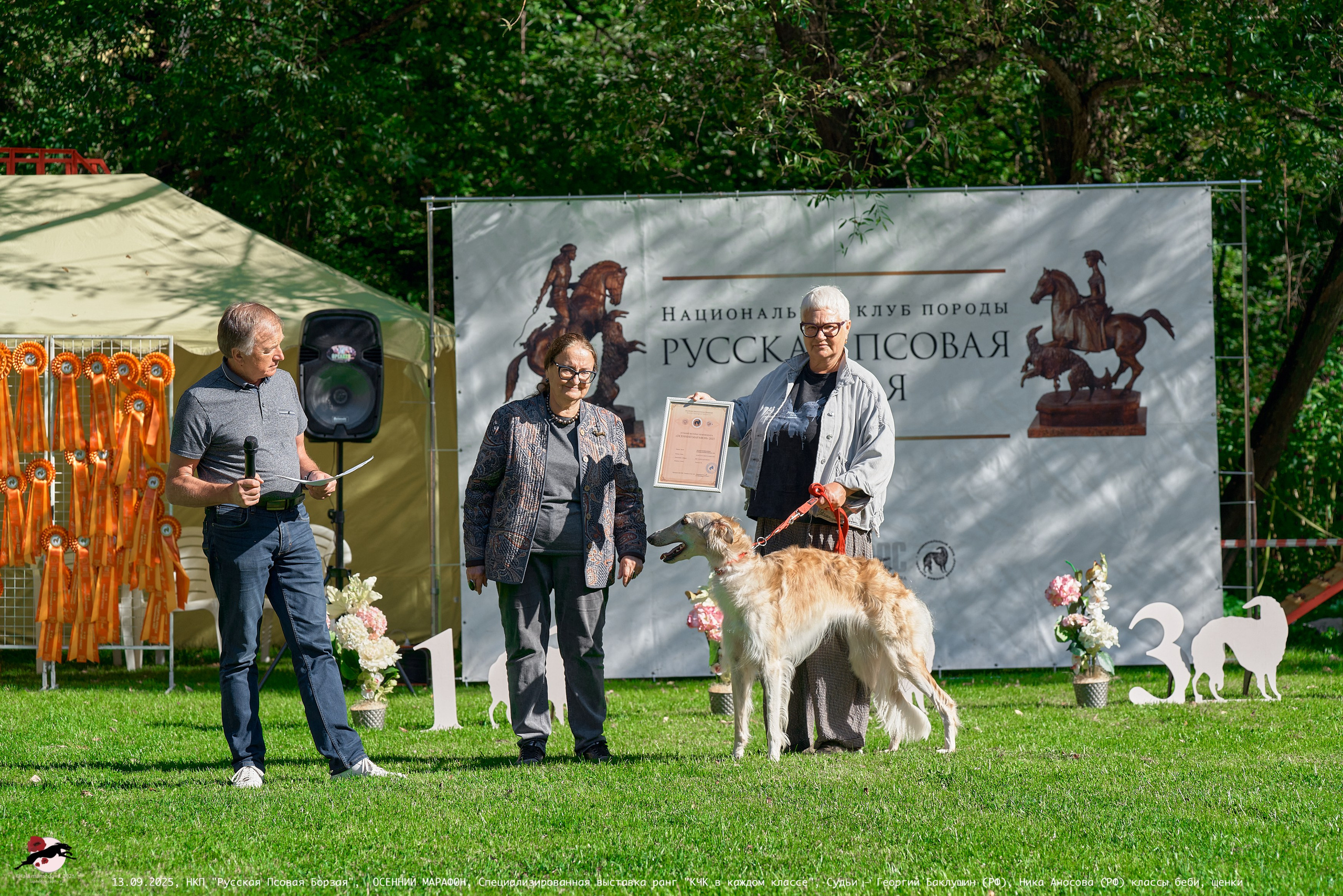 ОСЕННИЙ МАРАФОН | Специализированная выставка породы Русская Псовая Борзая ранг "КЧК в каждом классе"