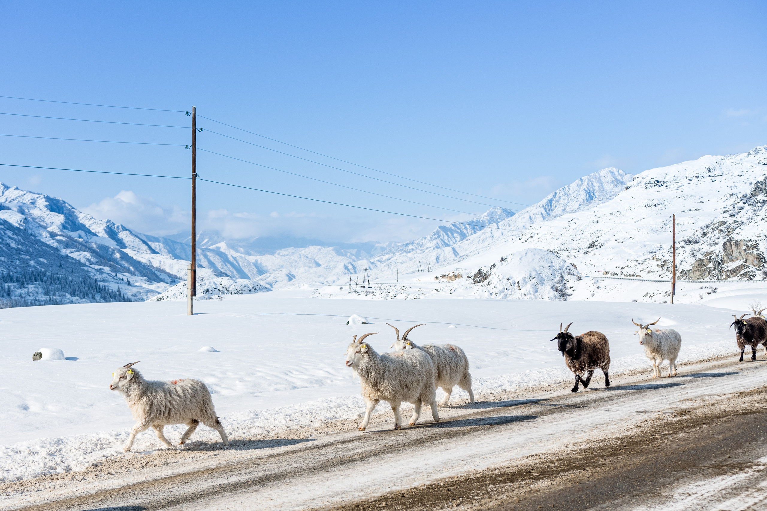 Творчество. Репортажный фотограф в Москве Измалков Артем