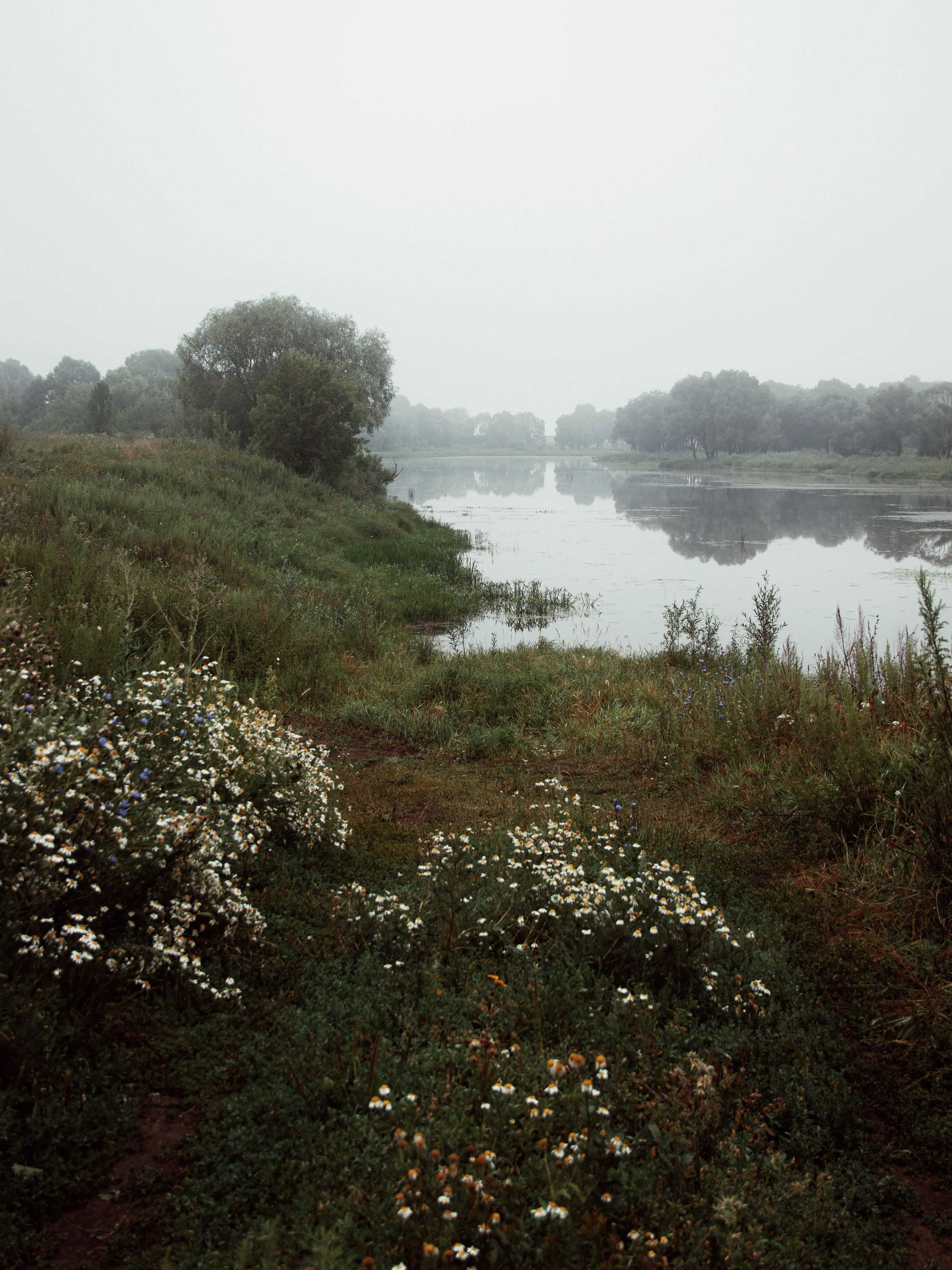 Застывшая утренняя тишина. С любовью, фотохудожник