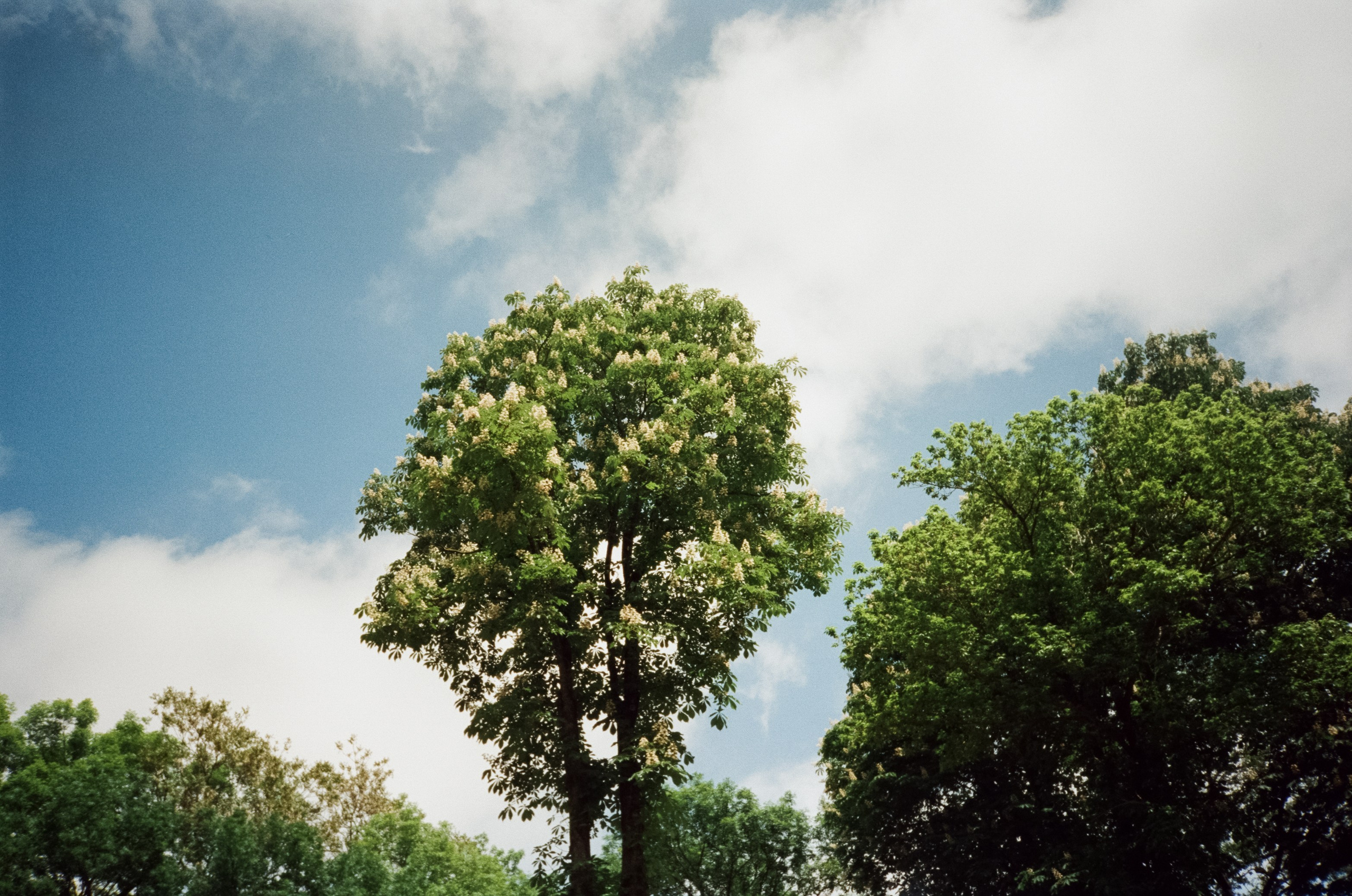 Солнечные Ессентуки. Прогулка в Курортном парке. Фотограф-документалист Мария Осокина