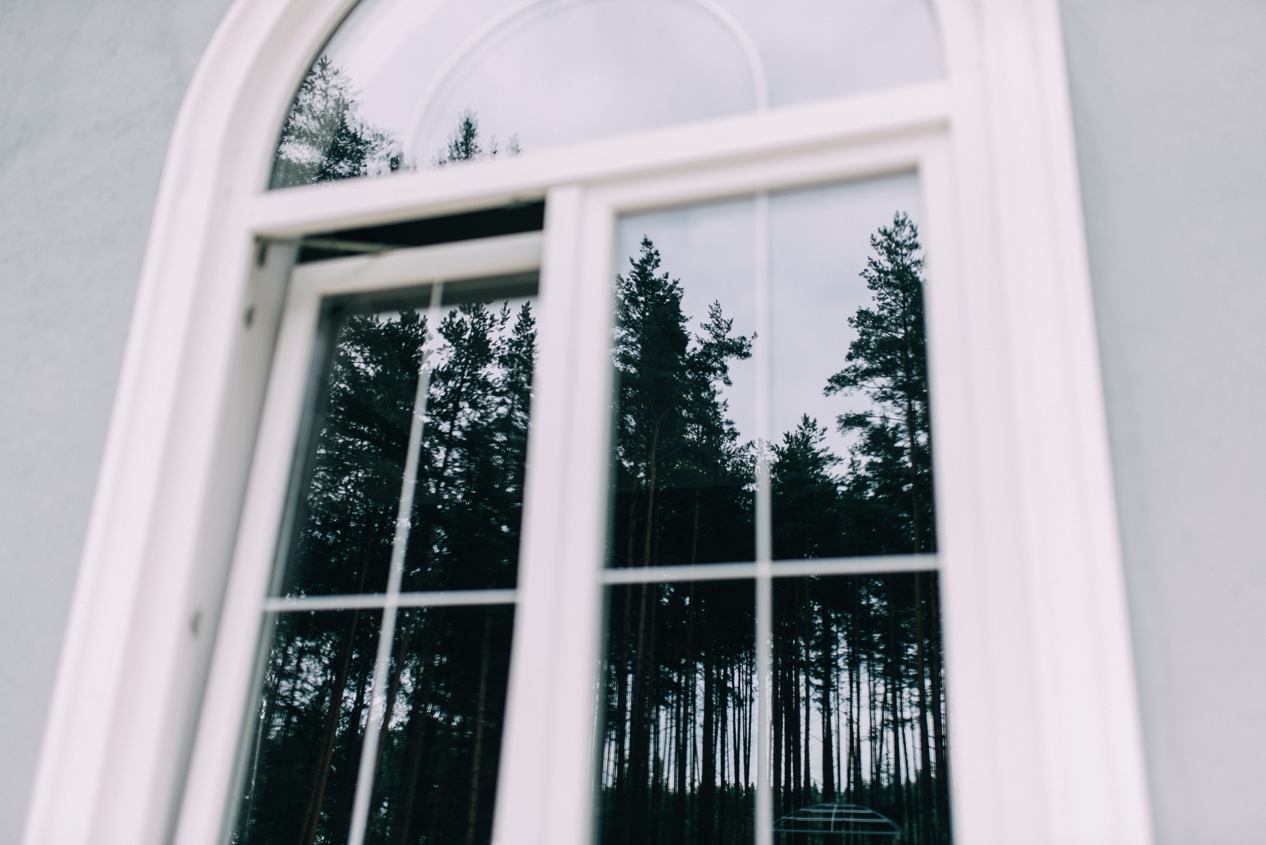 ДАША И ДАНЯ. Шашкова Вероника / Свадебный и семейный фотограф Москва и Ярославль