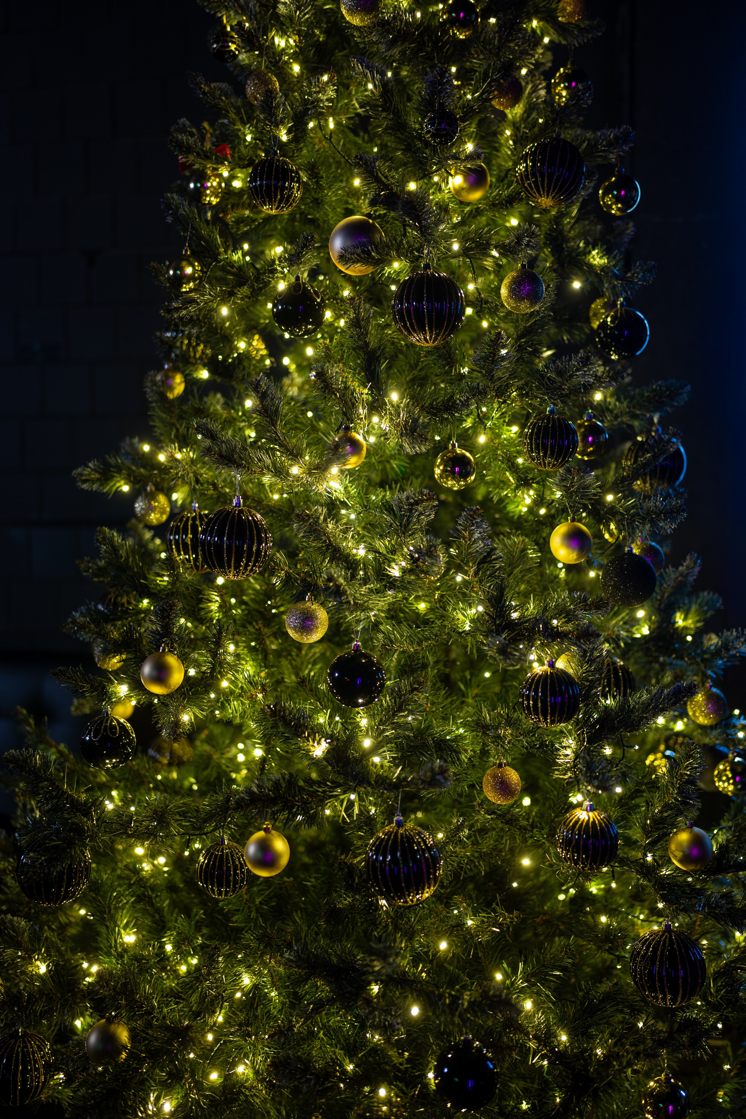 Фактура. Фотостудия Тироль. Москва