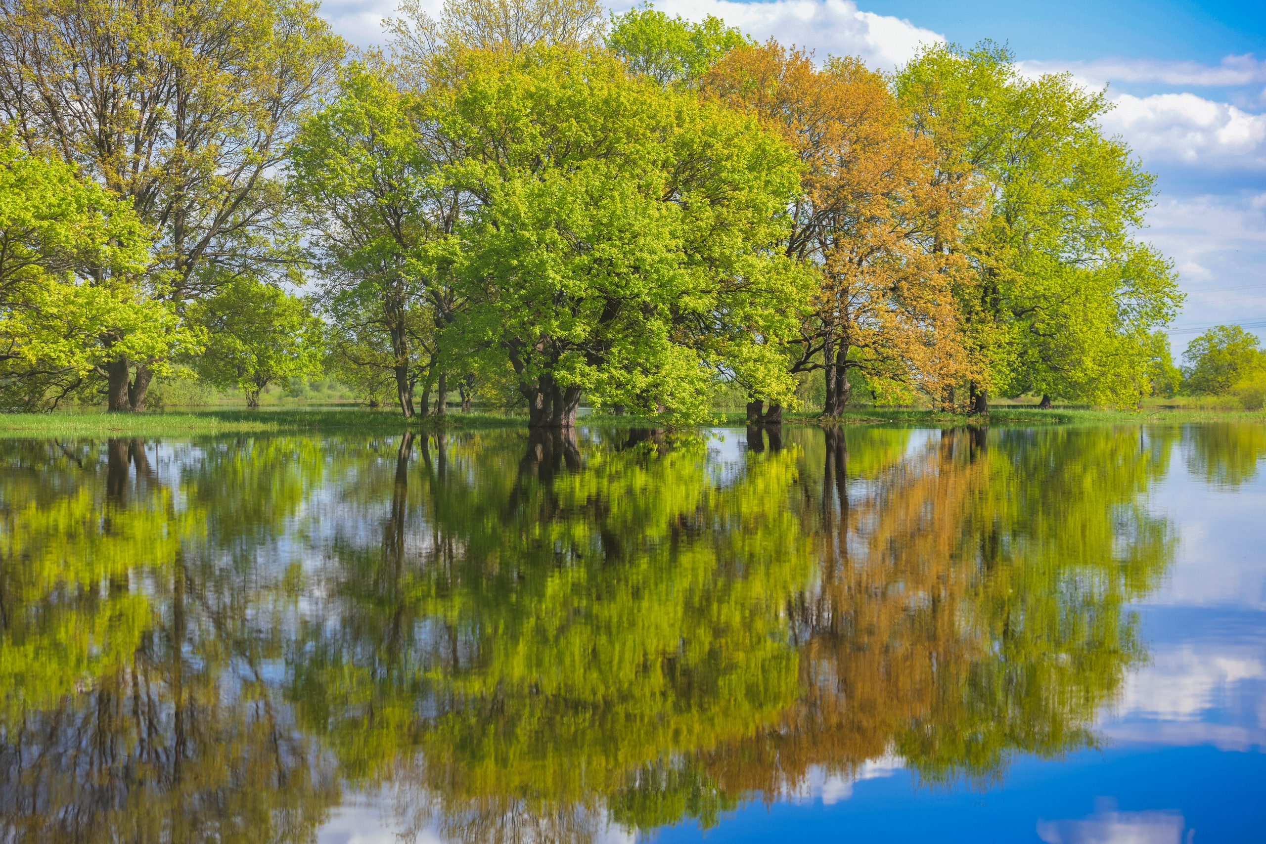 Репортажный фотограф Владимир Беляй