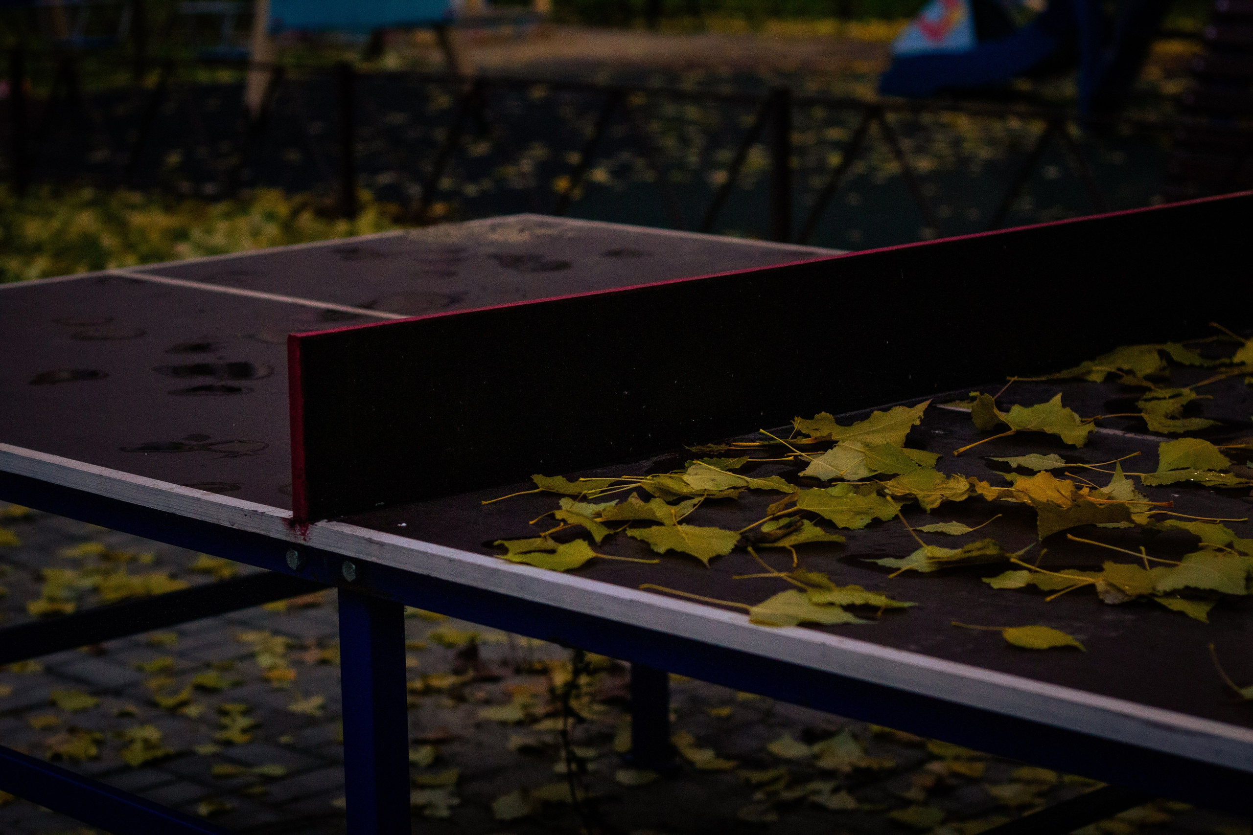 Осень в Москве. Фотограф Москва, портрет, стрит, репортаж. Художественная фотосессия