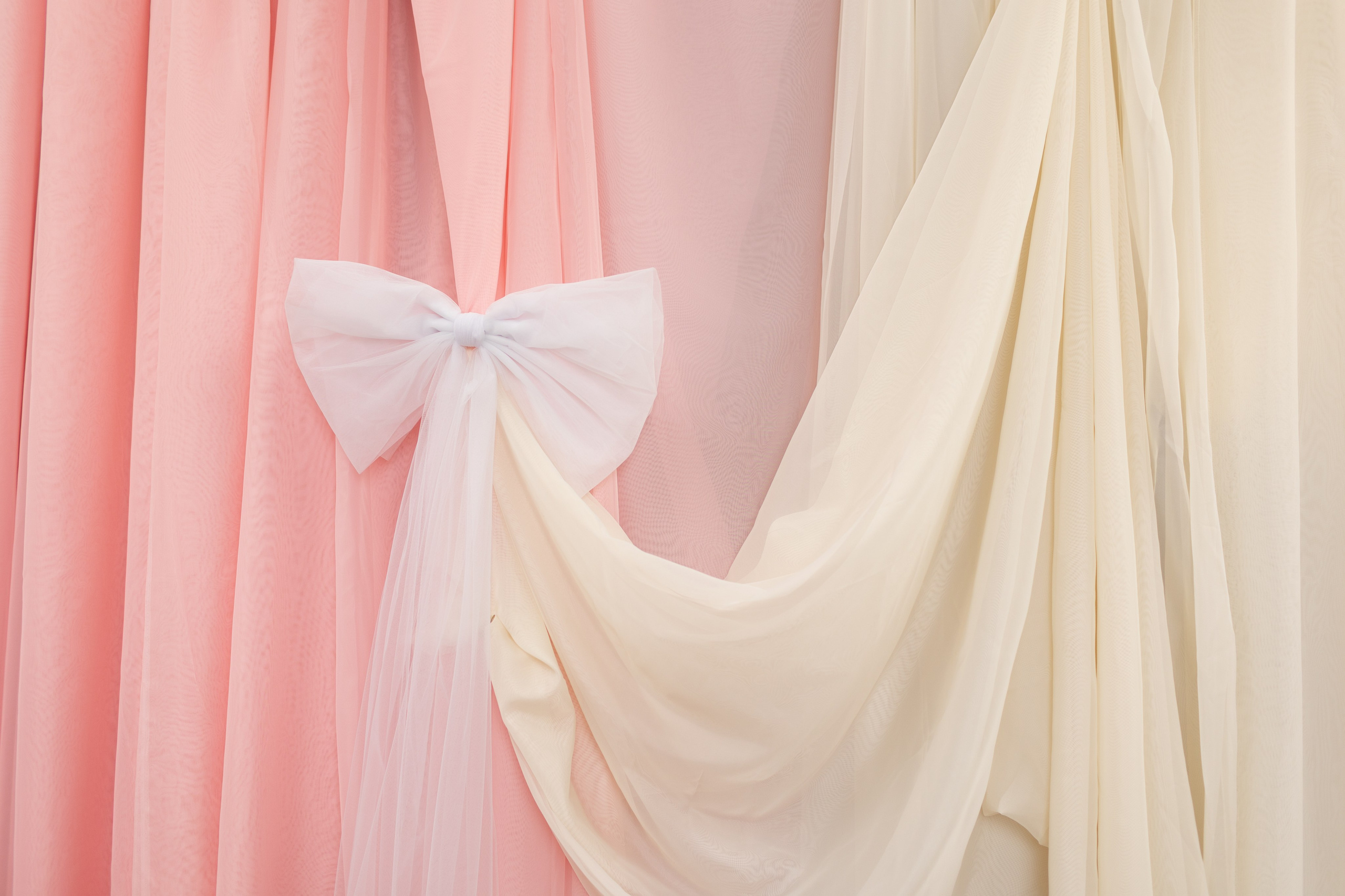 Фотосессии в фотозоне с тюльпанами. Портретный и семейный фотограф в Краснодаре Оксана Сараева