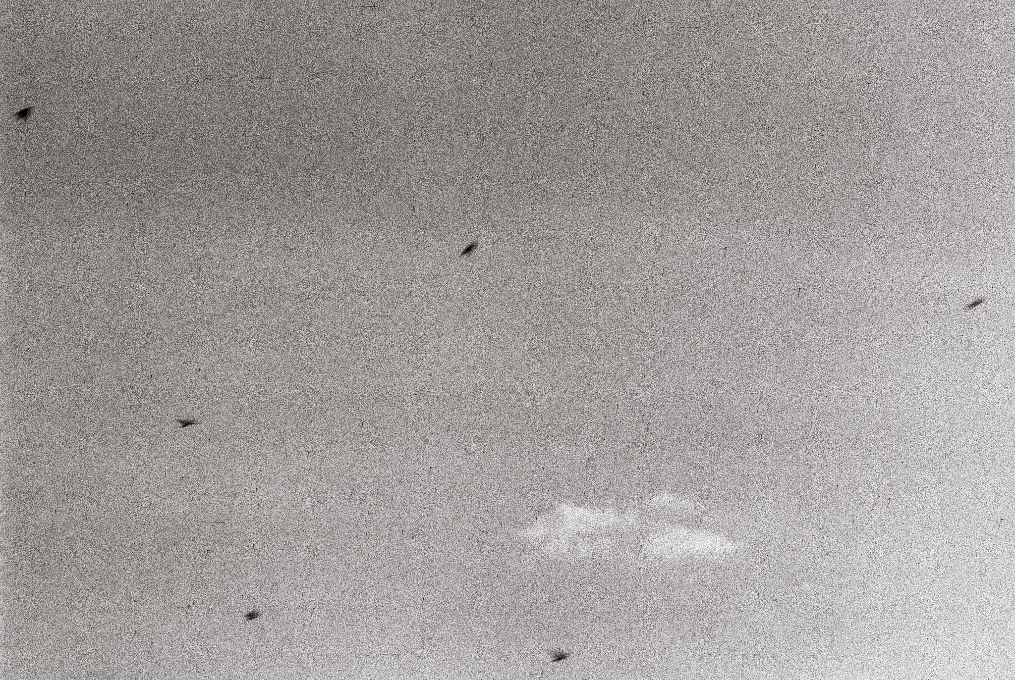 Пьюти-фьют. Игорь Скабелин