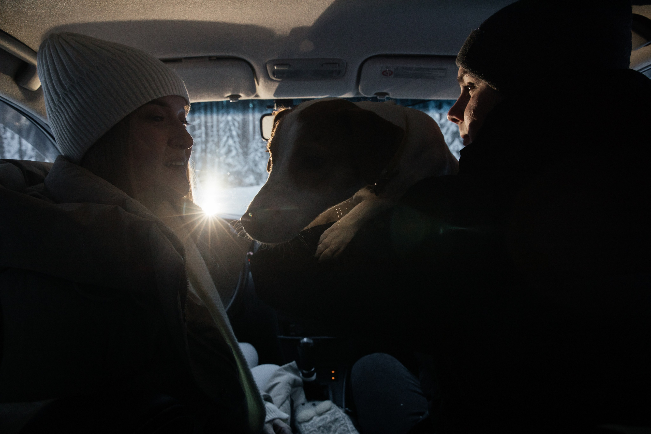 Света, Саша и Честер 🐾. Свадебный фотограф Настя Шелл г. Череповец
