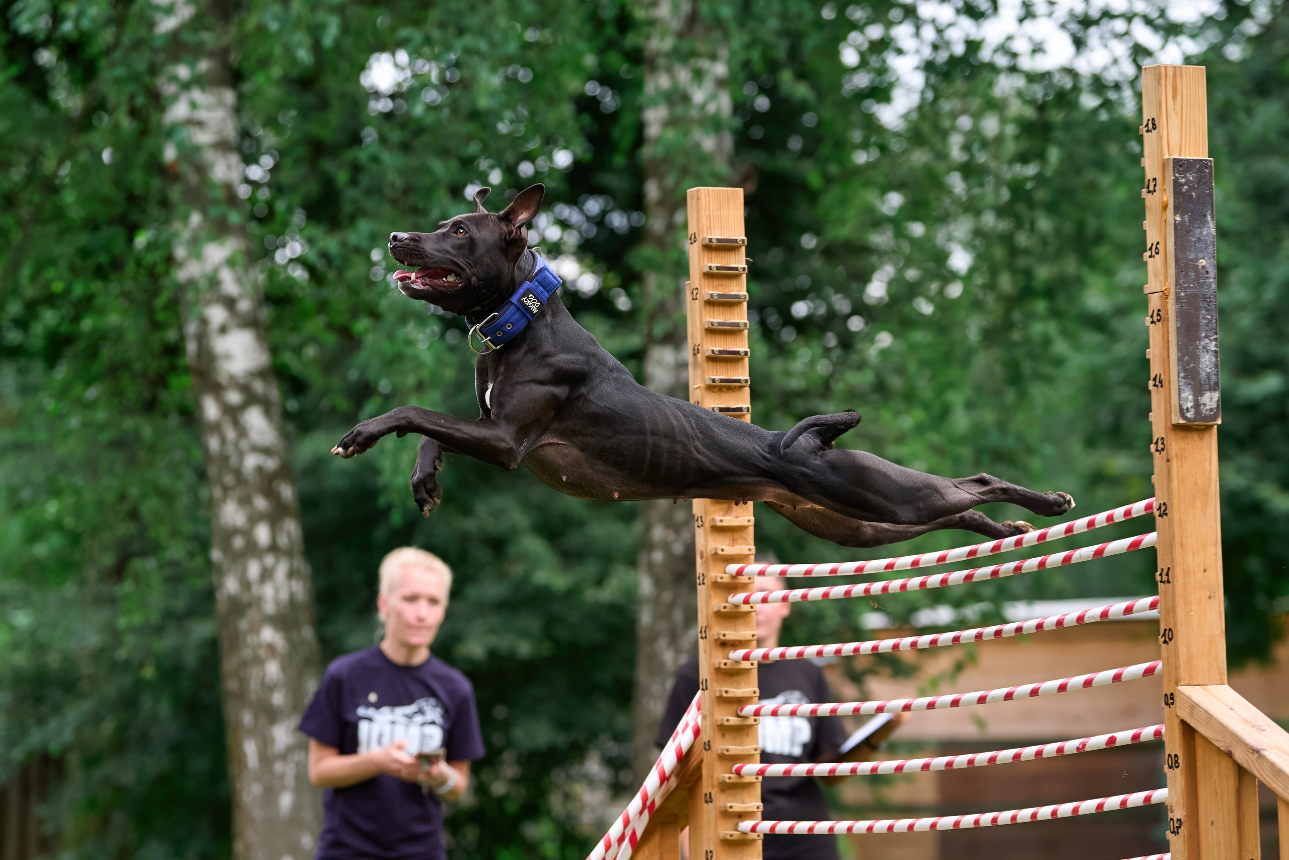 Jump'n'Gym JUMP! — 2024. Фотограф-анималист Михаил Манухин