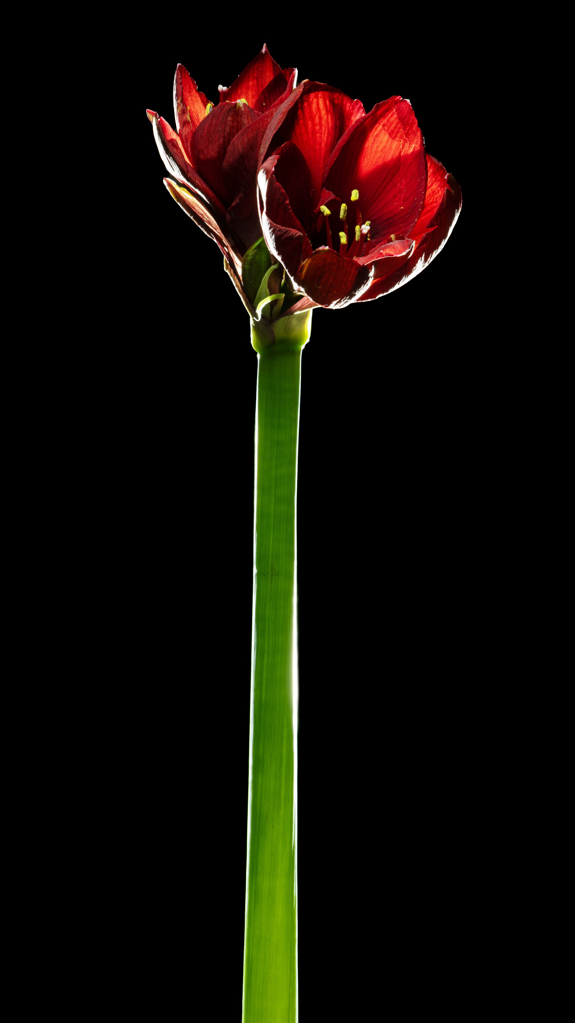 Проекты. Sakunov Photo