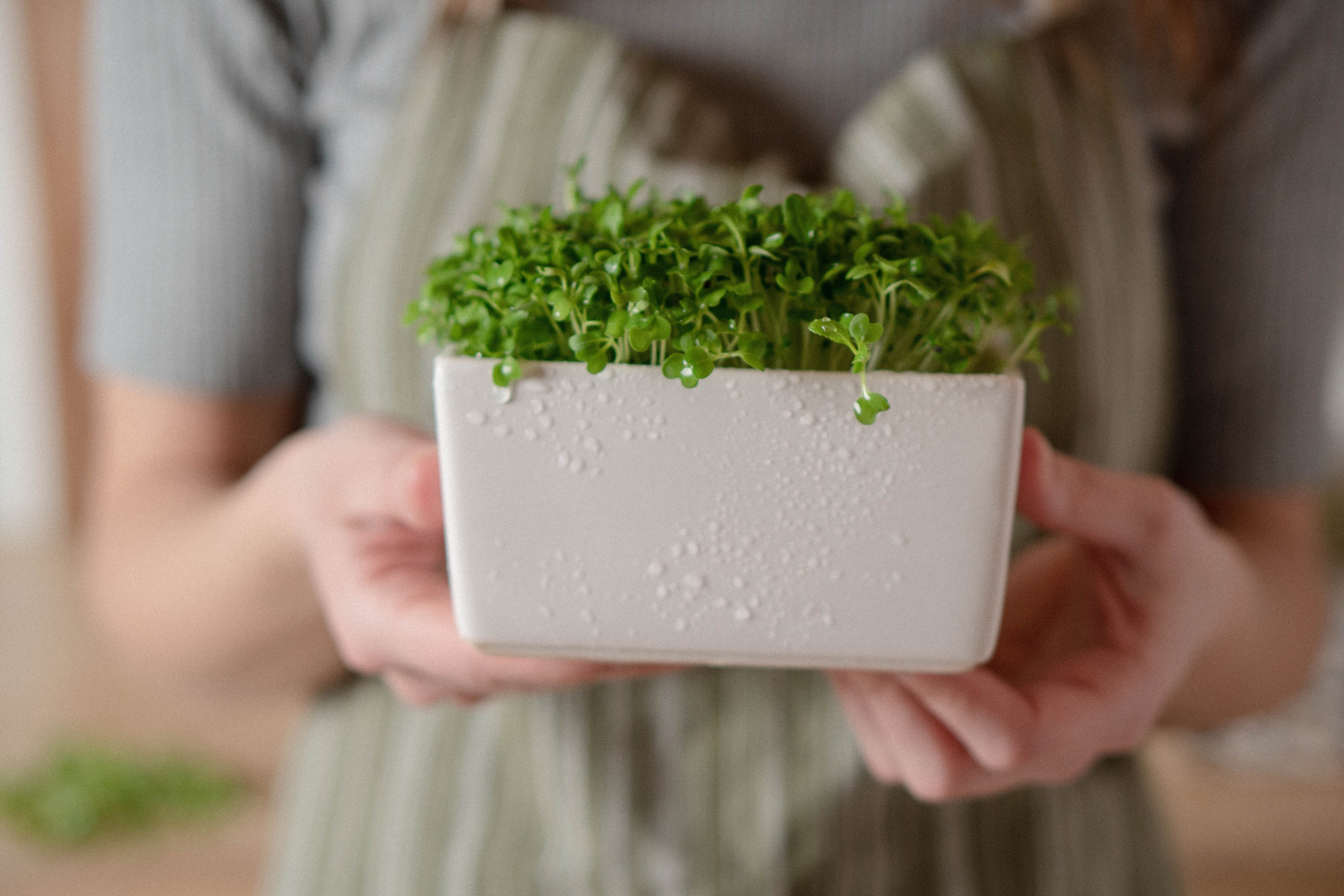 Предметная съемка. Видеограф Зинченко Татьяна г. Пермь