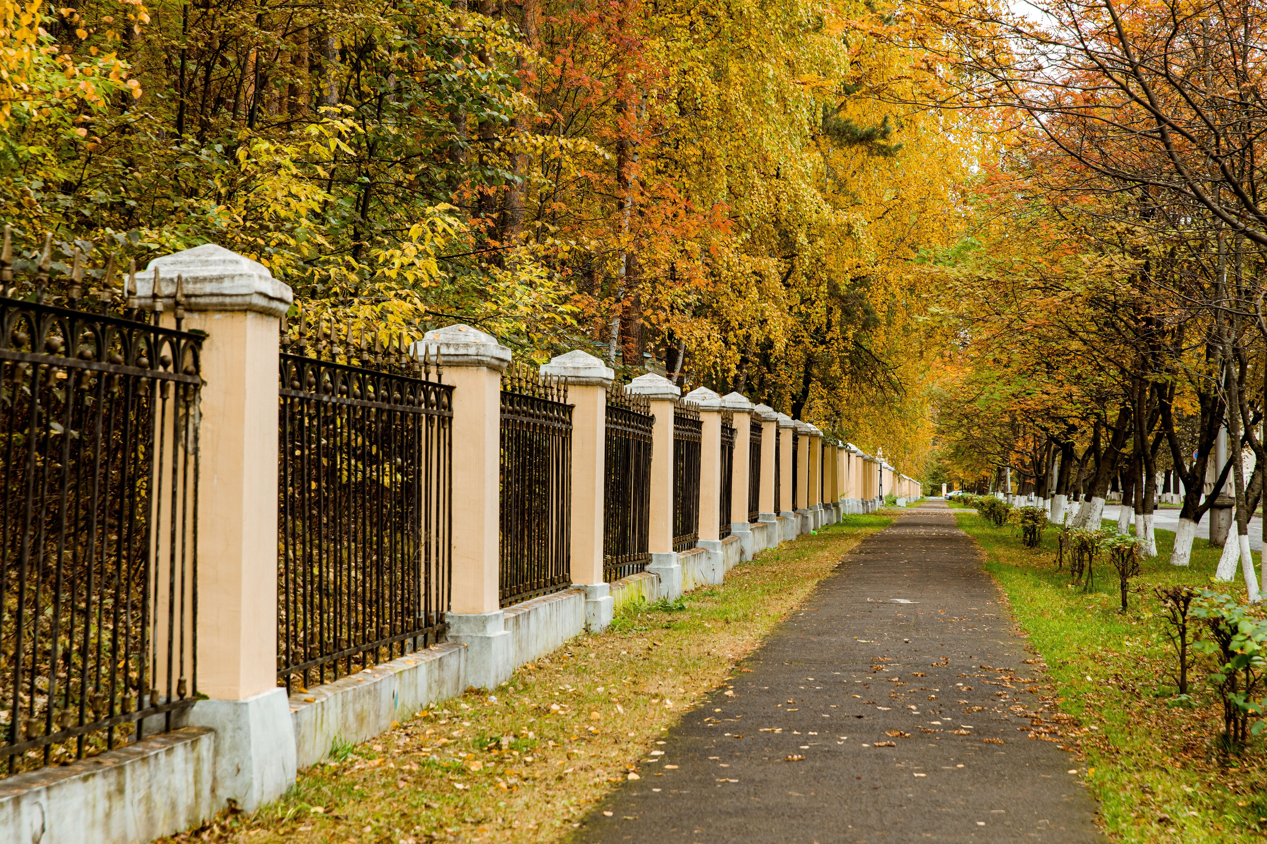 Осень в парке. Семейный и детский фотограф в Железногорске Саламахо Ольга