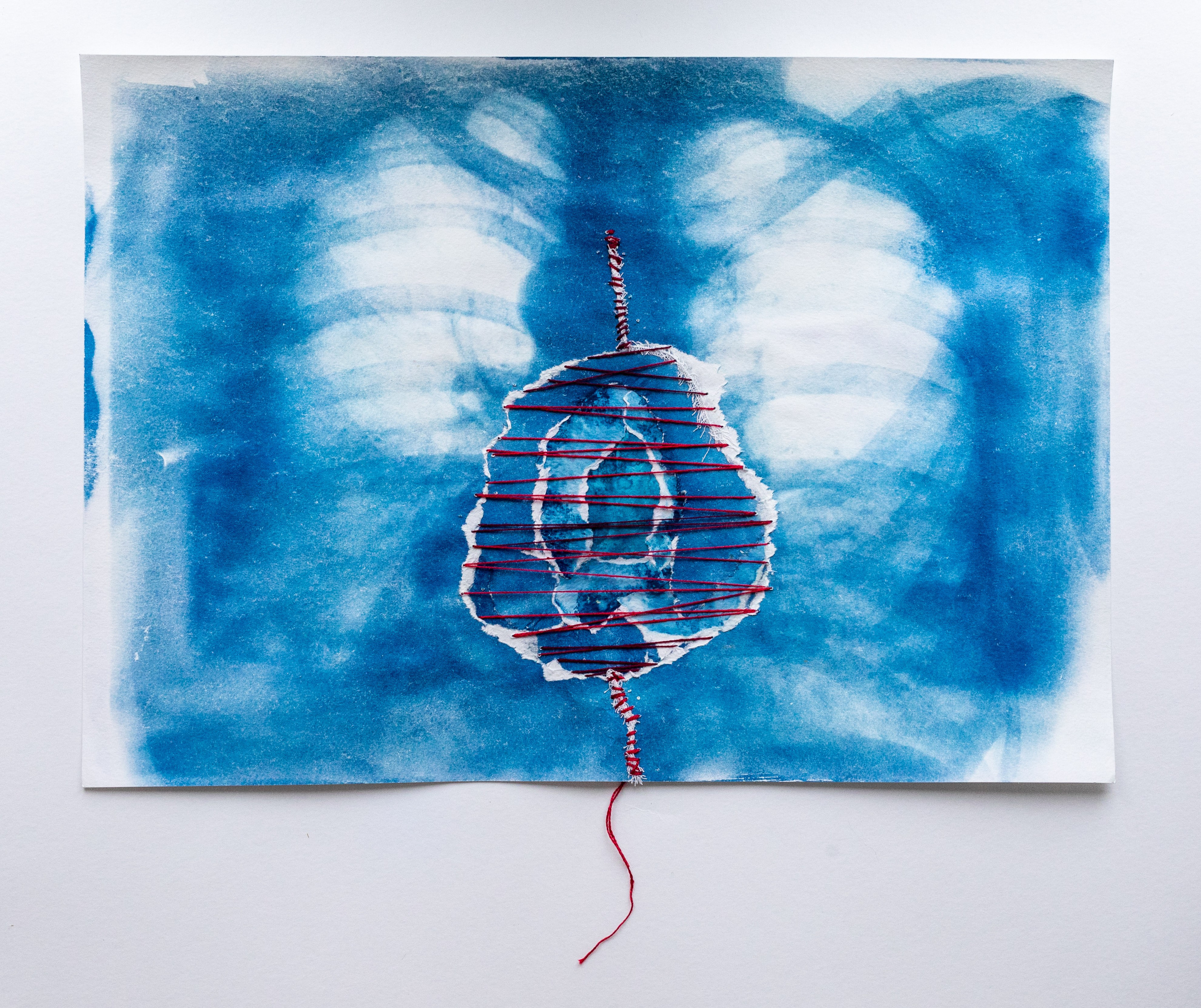 CYANOTYPE. CONTEMPORARY ARTIST OLGA ANDRIYASH