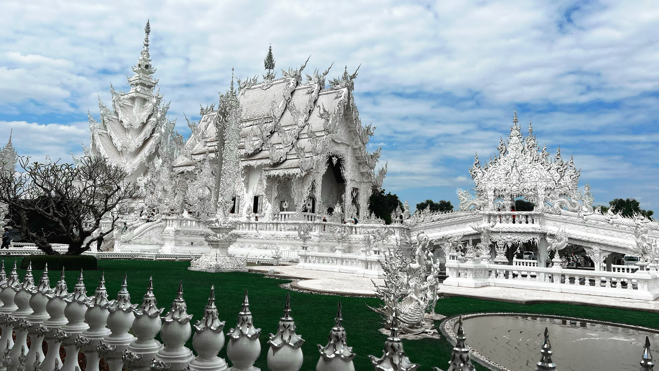 СV & ARTIST STATEMENT