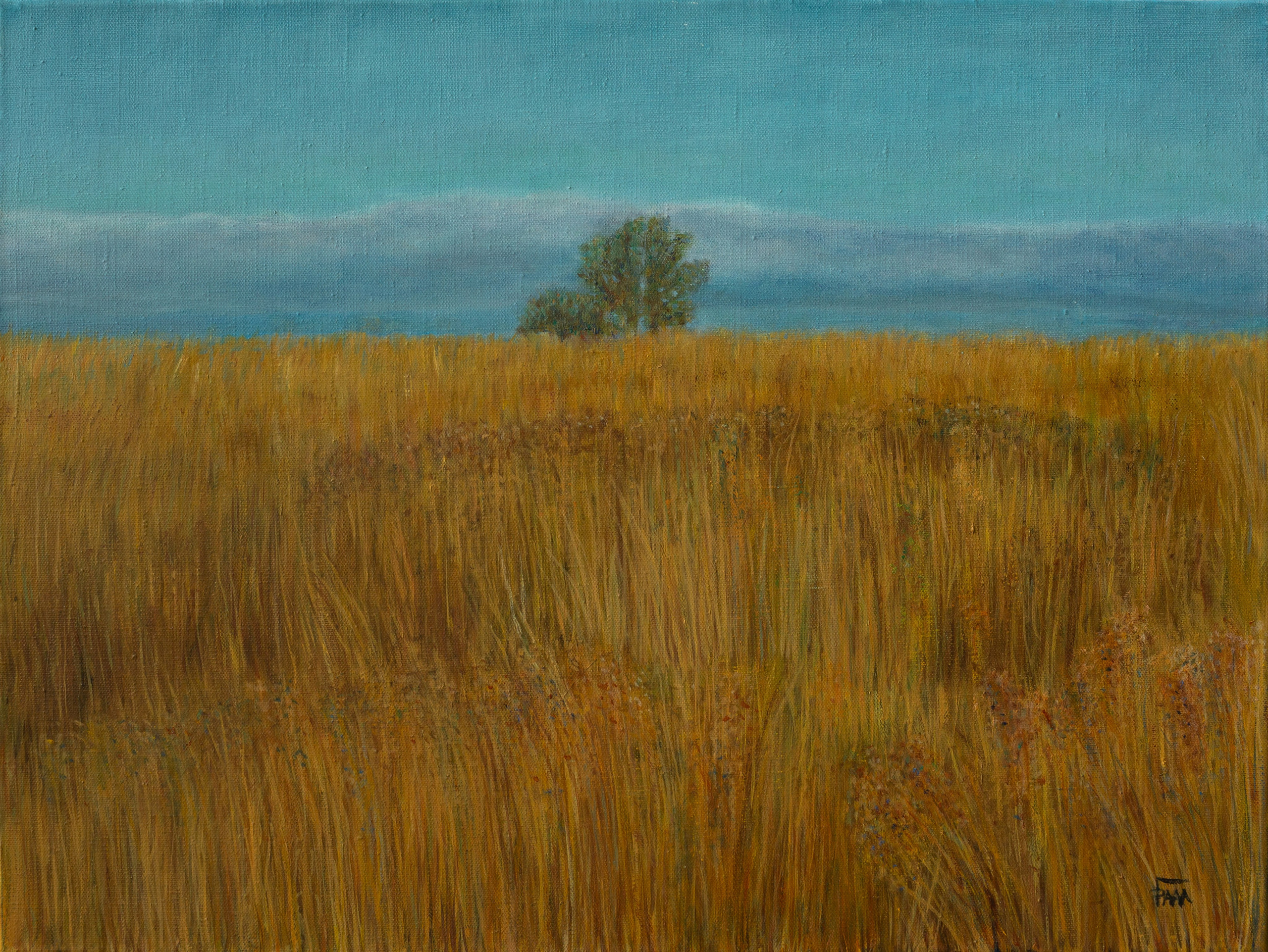 Фотосъемка картин в Смоленске. Фотограф | Михаил Буш Смоленск