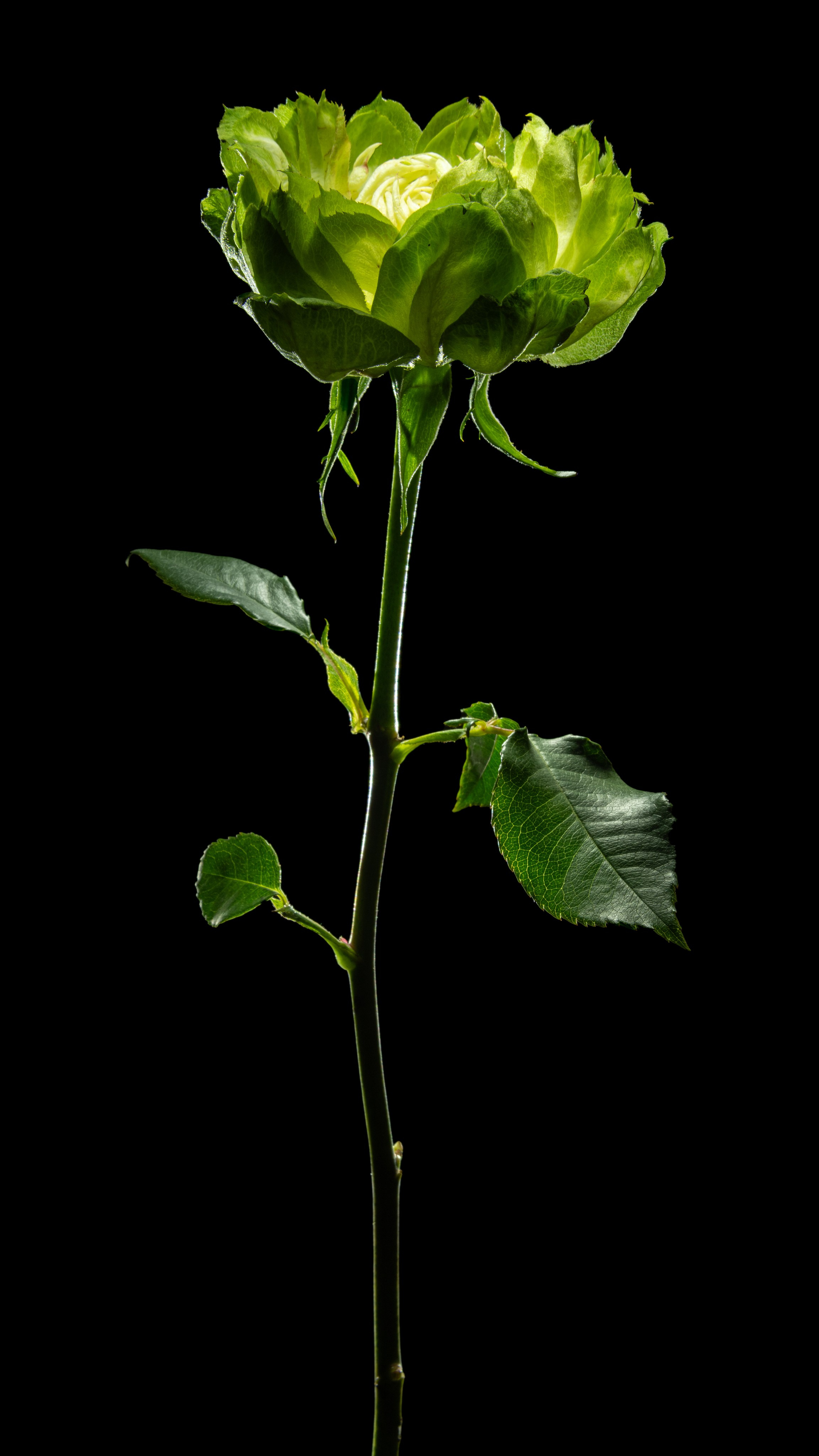 Проекты. Sakunov Photo