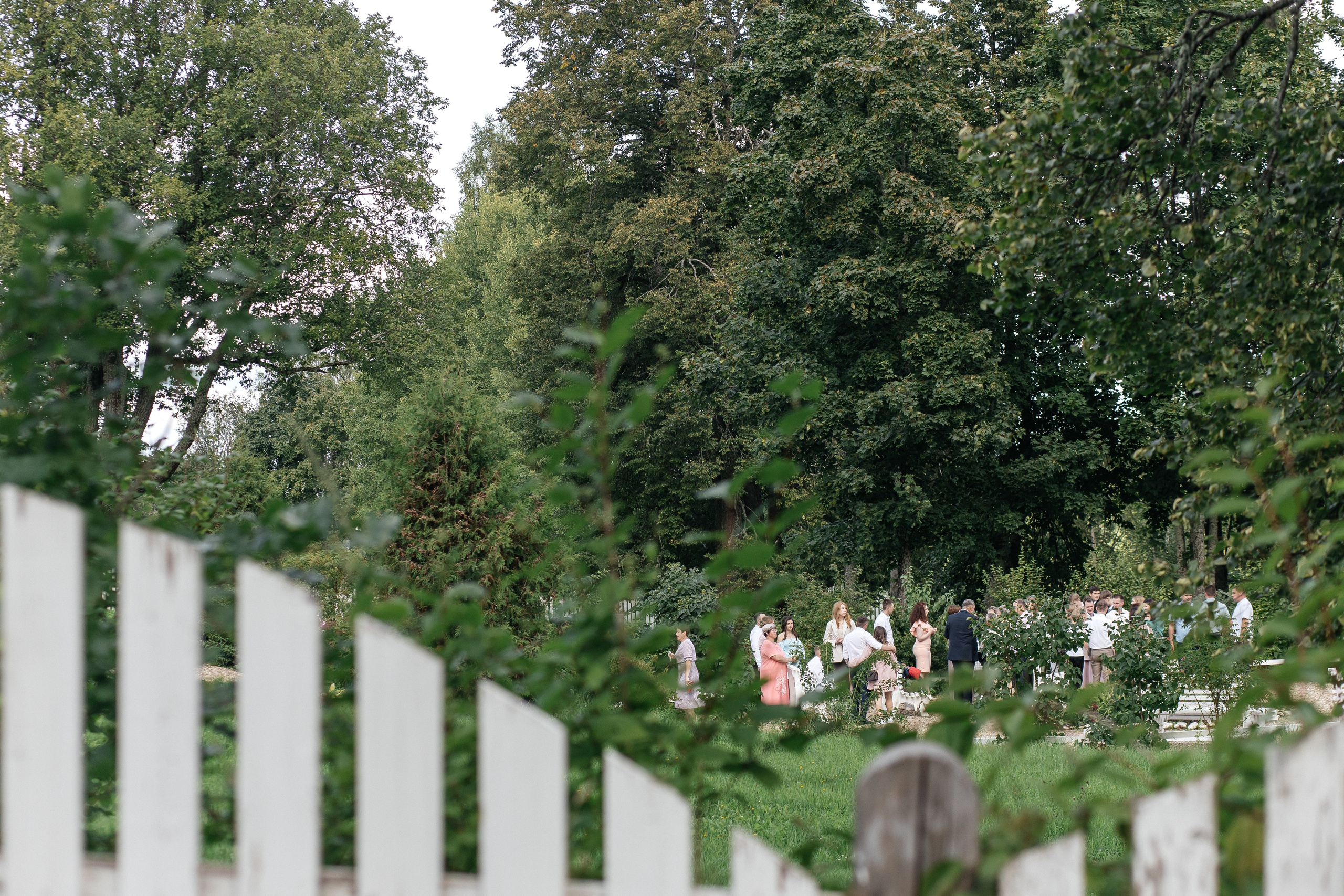 Илья и Мария. Свадебный фотограф Настя Шелл г. Череповец