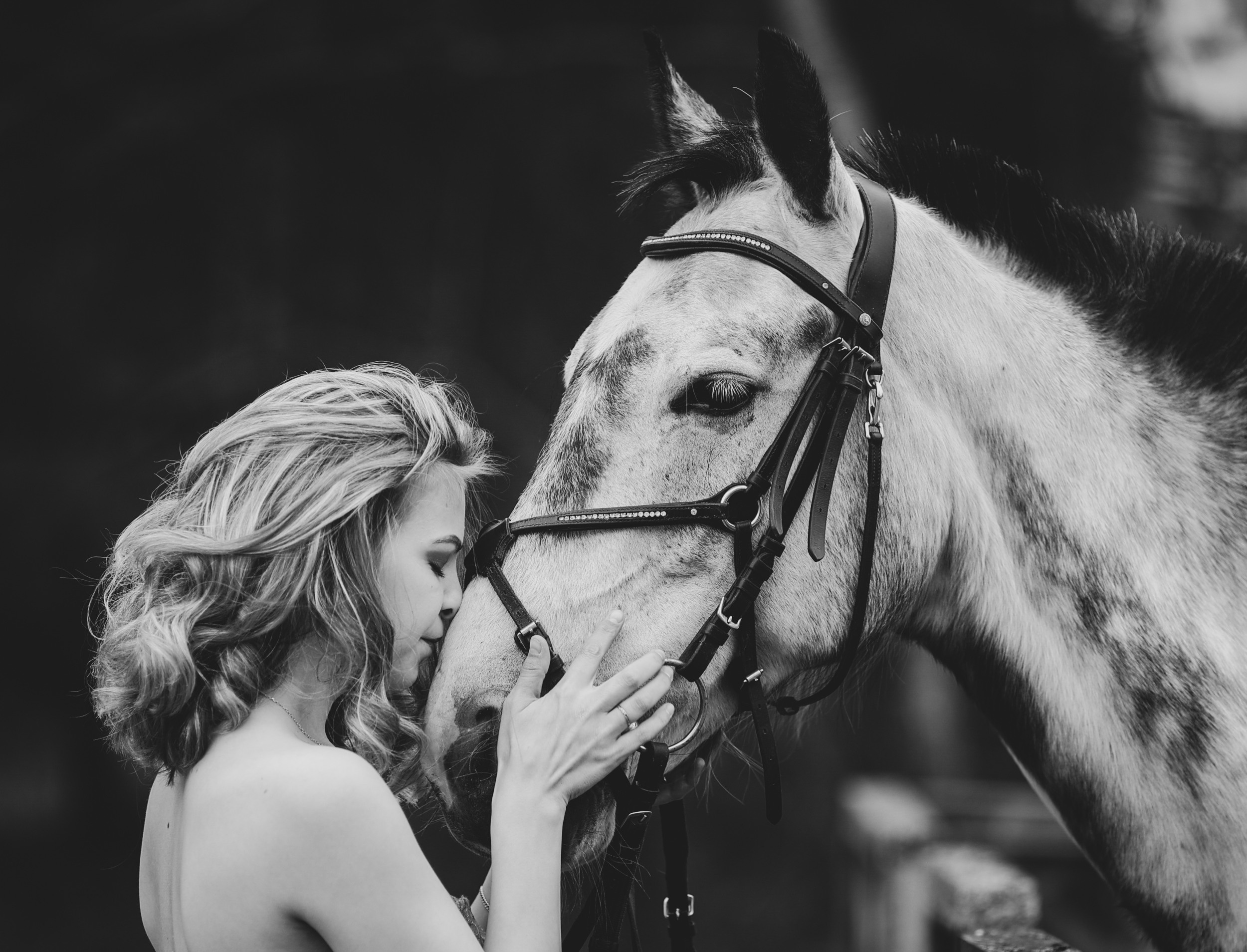 Фотосессии с лошадьми в Петрозаводске. Фотограф Варвара Ермоленко