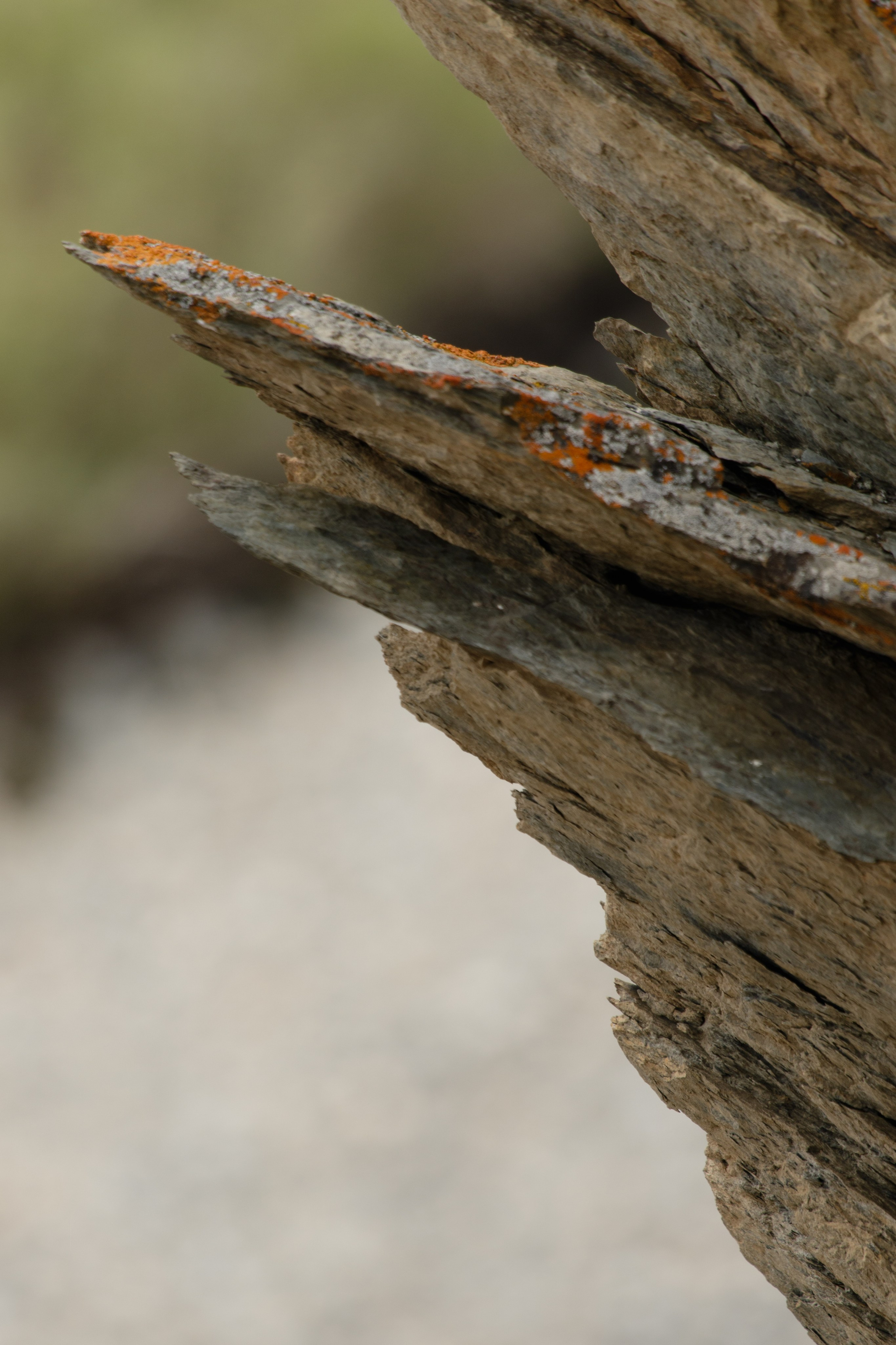Горный Алтай. Фотограф Кирилл Мешков Кемерово