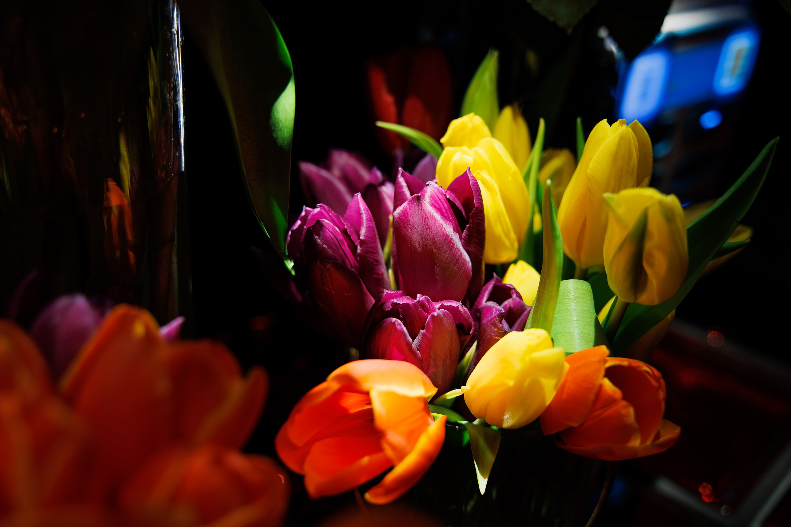 SOLOVI — PRE-8 MARCH. СВОИ. ФОТООТЧЕТЫ-СОБЫТИЯ-МЕСТА