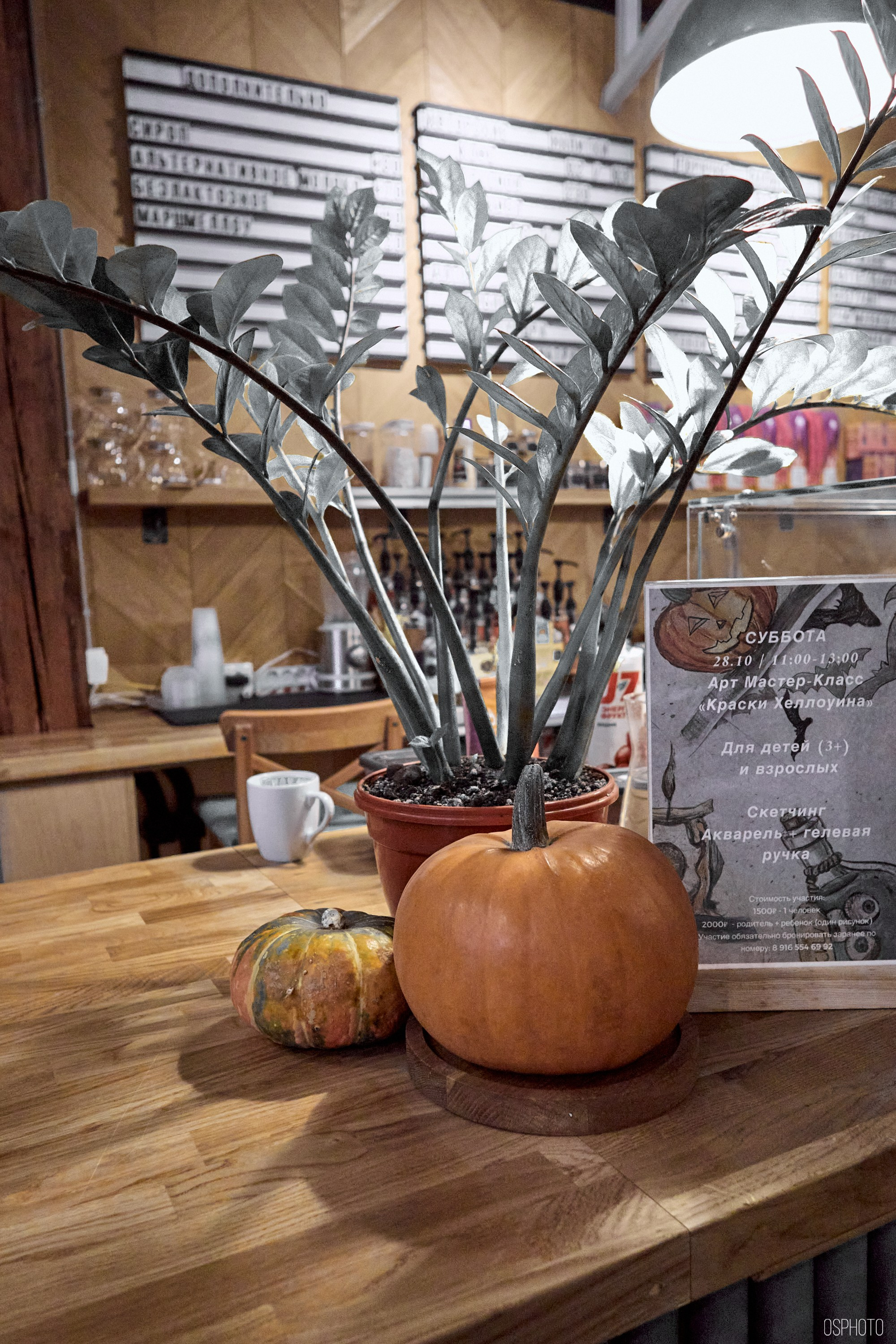 «Иду лесом». Кофе лофт в Братцево. Фотографъ Сергѣевъ. Поймать мгновеніе