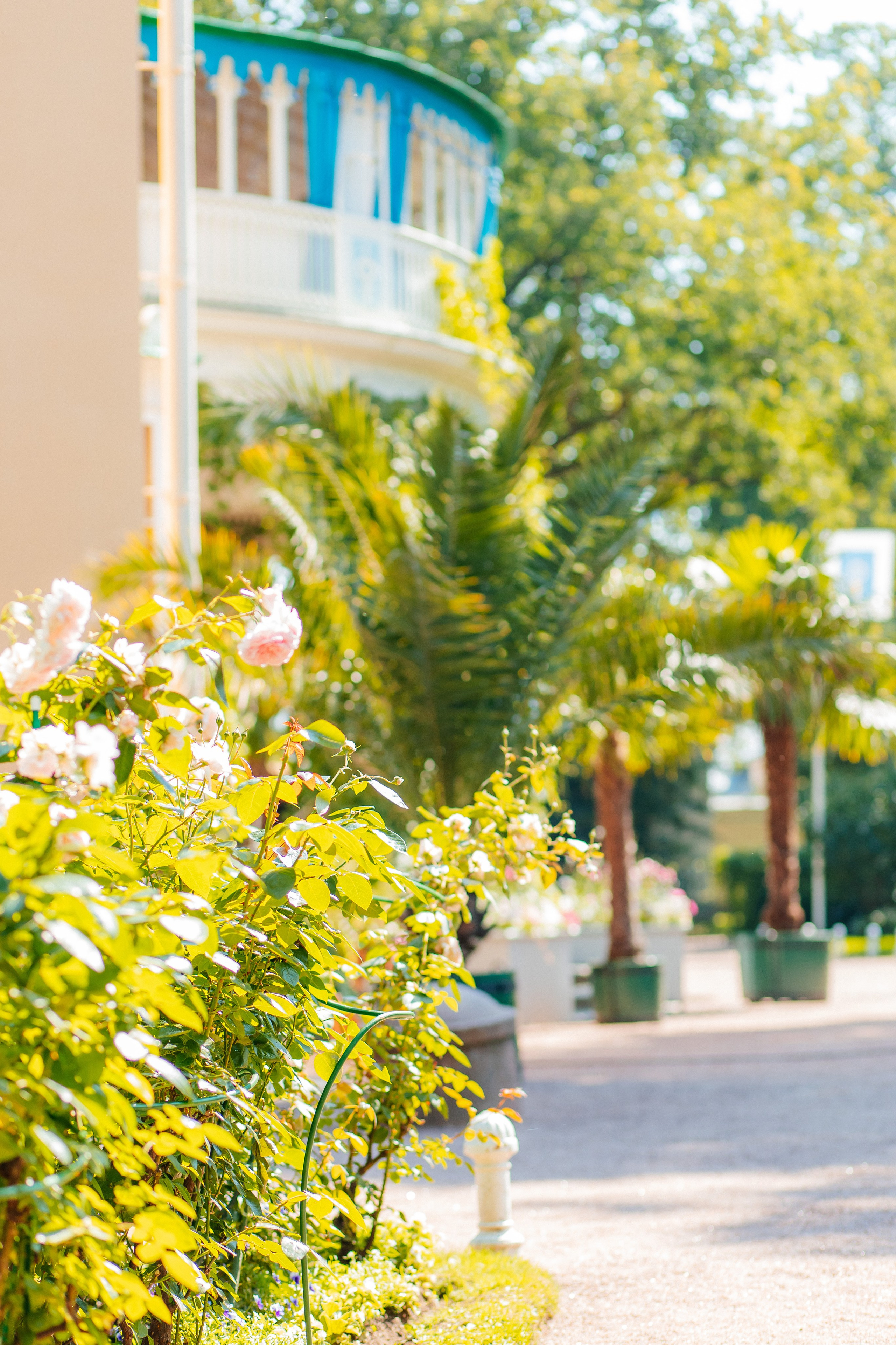 ФОТОСЕССИЯ В ПЕТЕРГОФЕ. ГДЕ СНИМАТЬ В ПЕТЕРГОФЕ