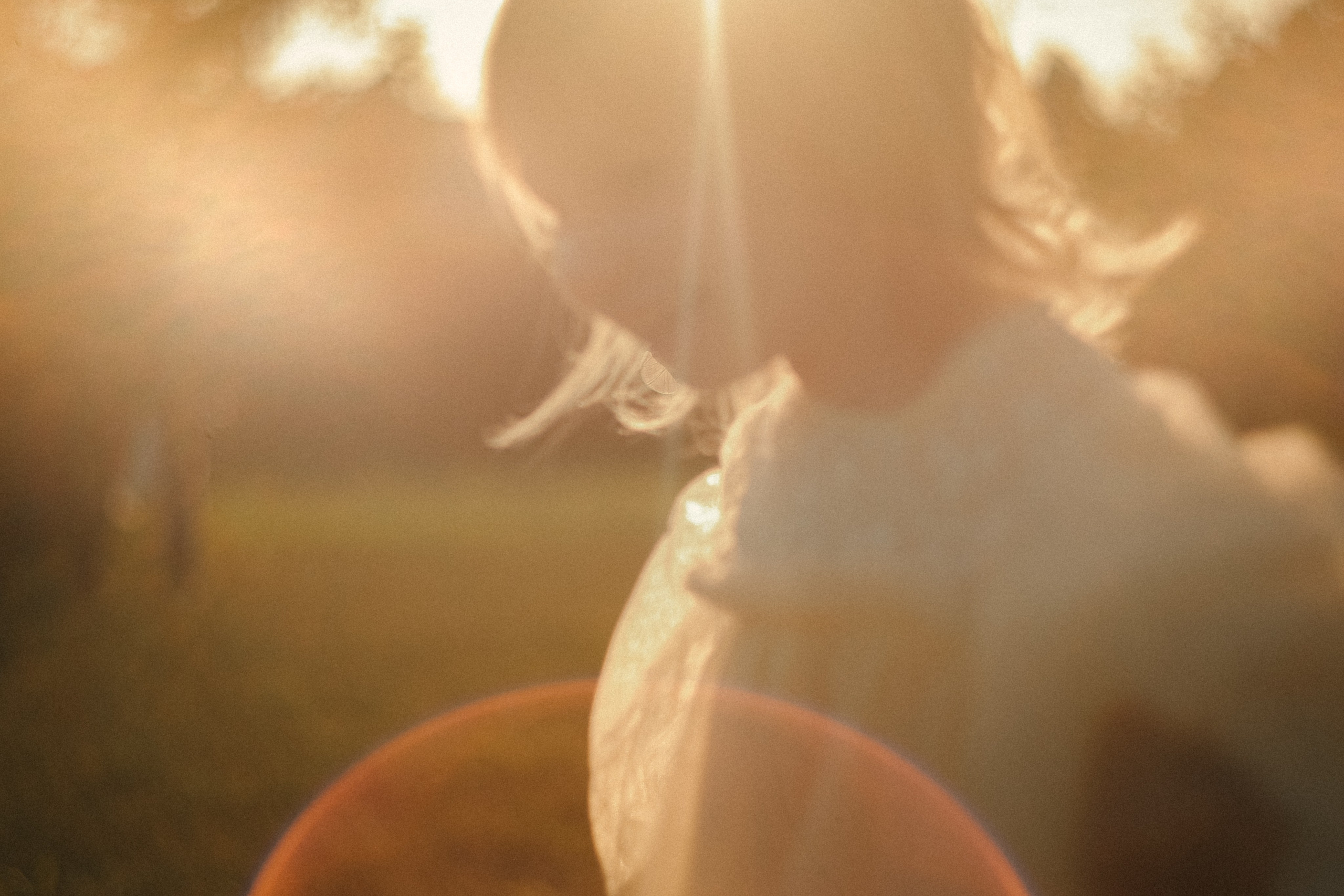 Семейный фотограф в Новосибирске Екатерина Сафронова