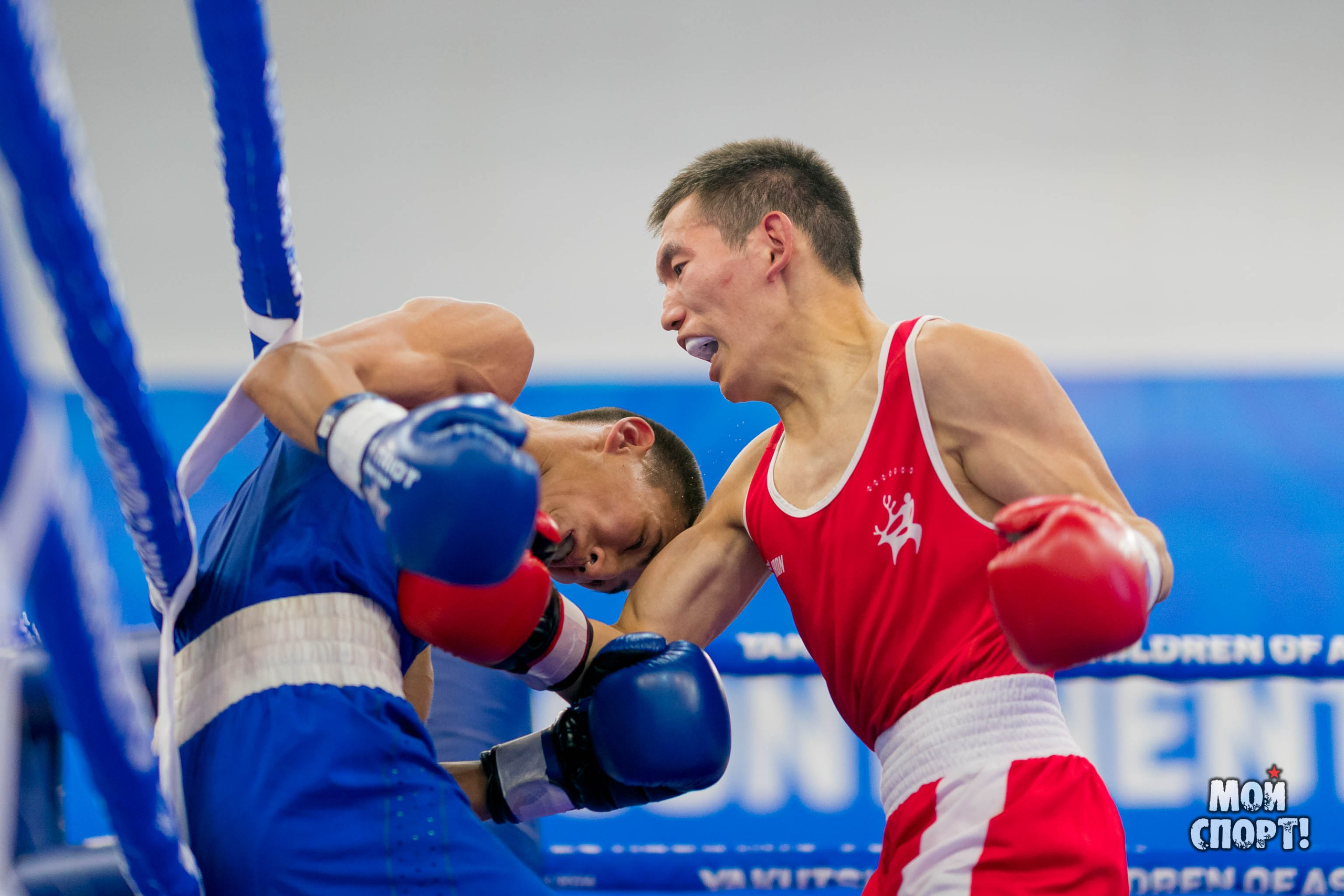 Всероссийский турнир по боксу памяти А. И. Федотова. Студия «Мой Спорт!» — все о спорте в Якутии