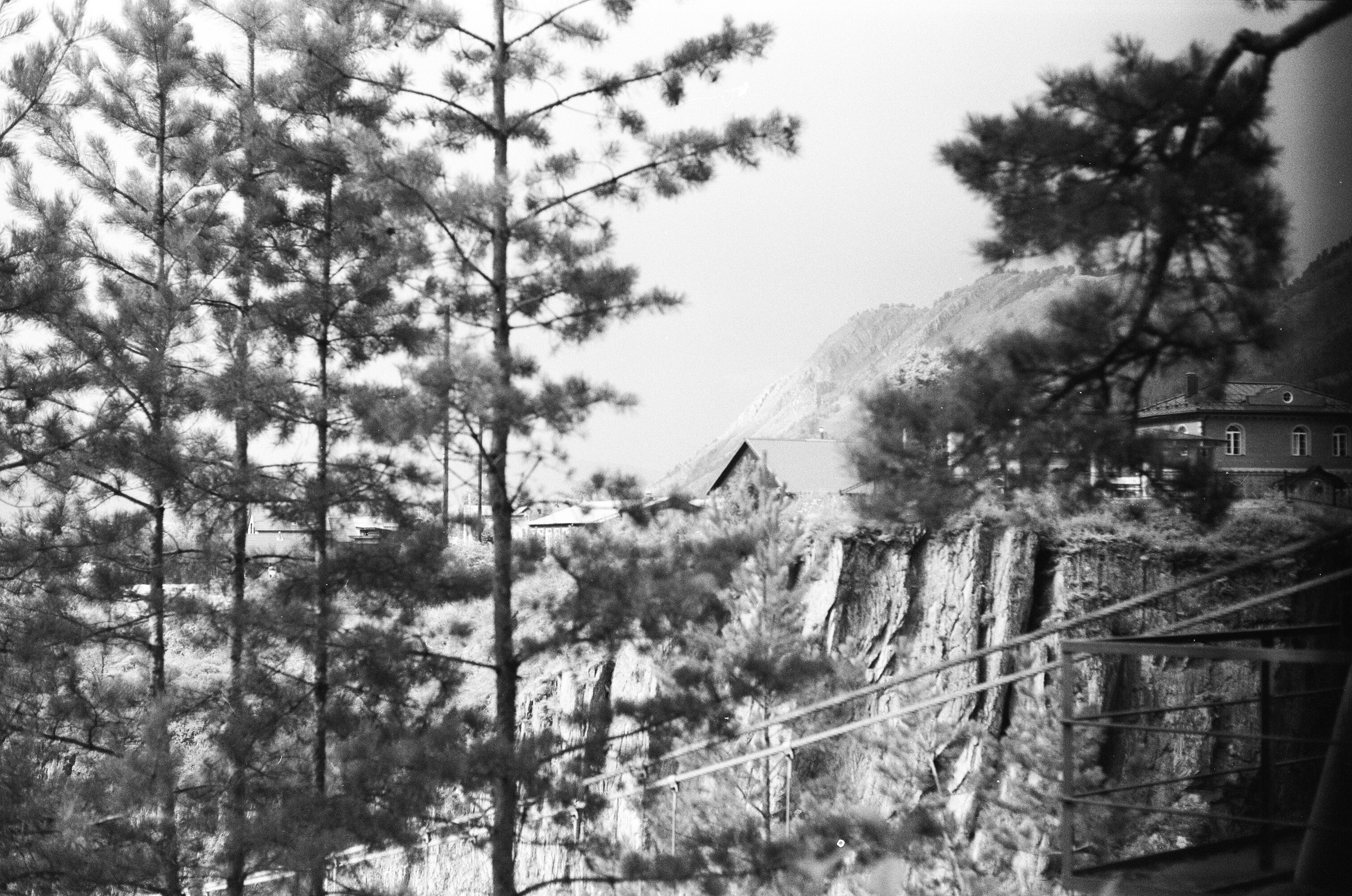 Altai \ august 2022 \ film. Коммерческий Фотограф Виктор Фоменых