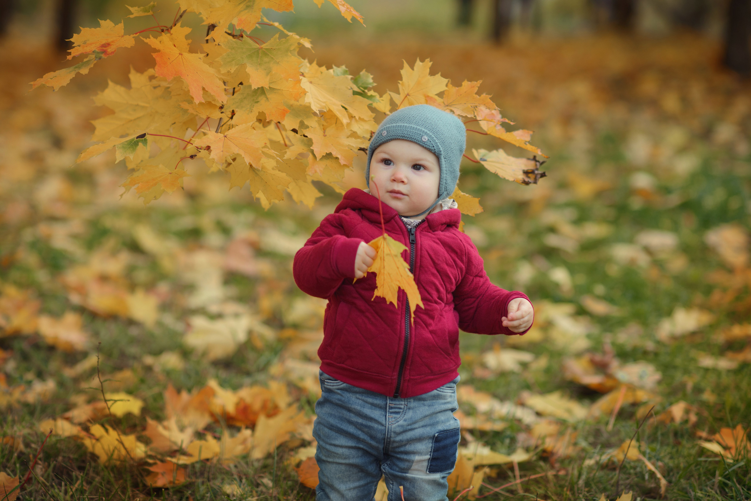Photo shoot of a little child in autumn. Photos with yellow leaves