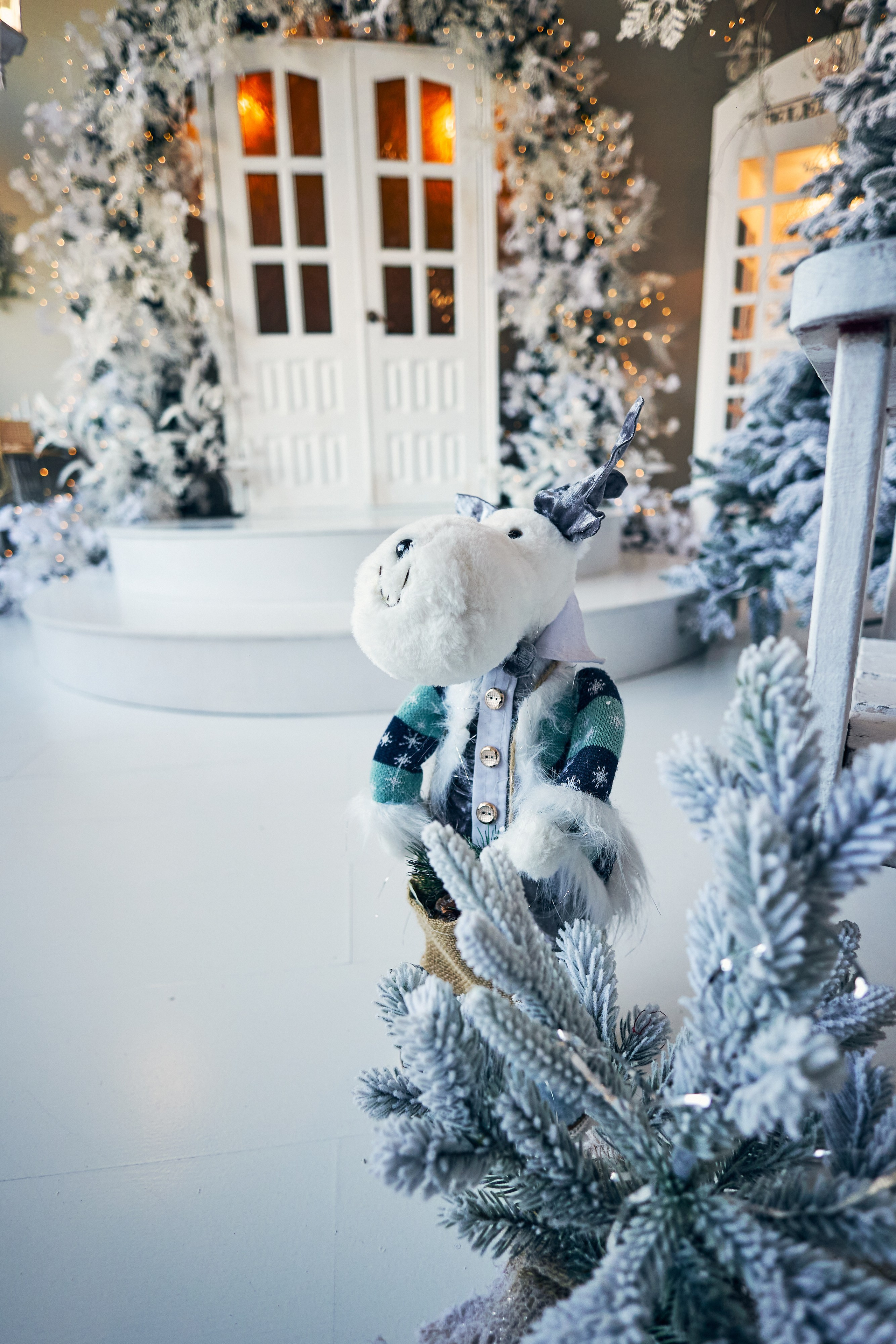 Новогодние фотосессии в Армавире. Николай Манвелов — свадебный фотограф в Армавире. Фотокурсы, обучение