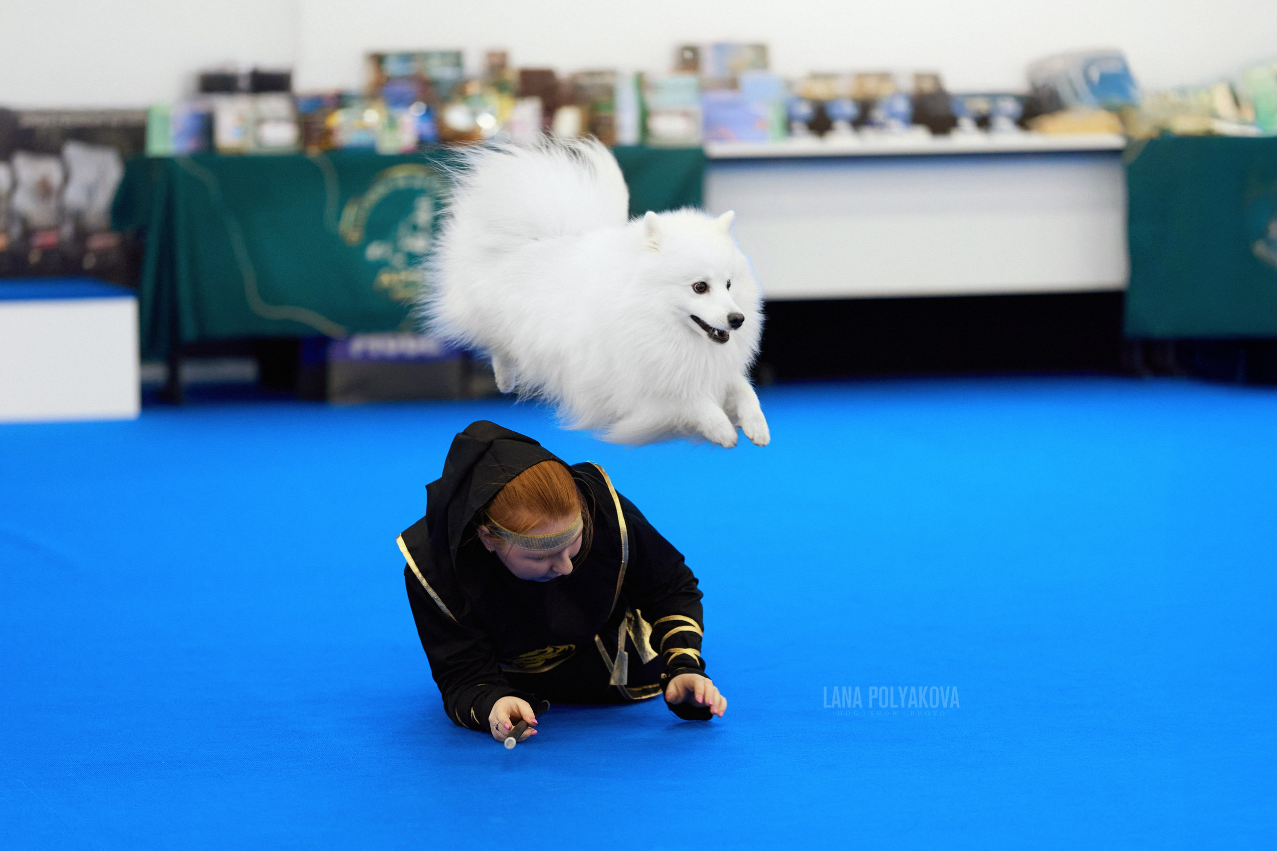 Официальный фотограф выставки собак в Сан-Марино 29-30-31.05.20. ФОТОГРАФ-АНИМАЛИСТ l LANA POLYAKOVA