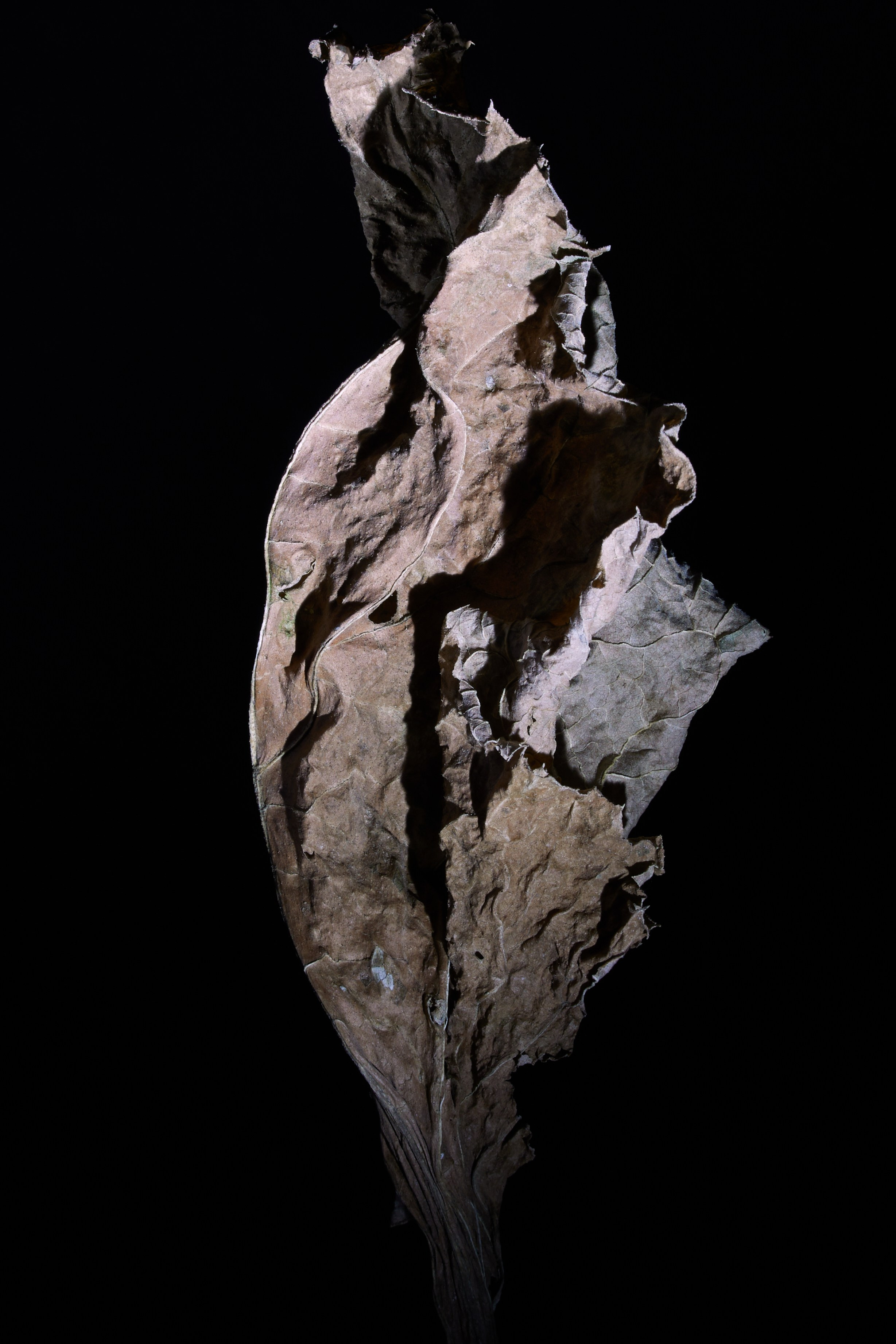 «Тебе кажется…?». Арт-фотограф во Владивостоке Дмитрий Осипчук