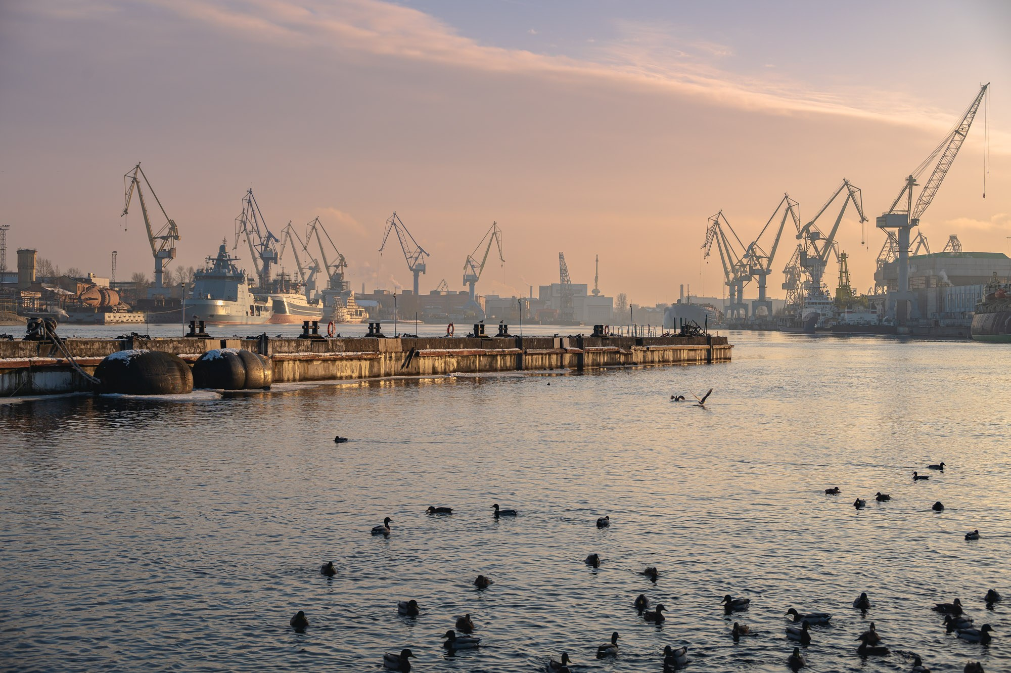 Фотограф | Рустам Загидуллин | Санкт-Петербург