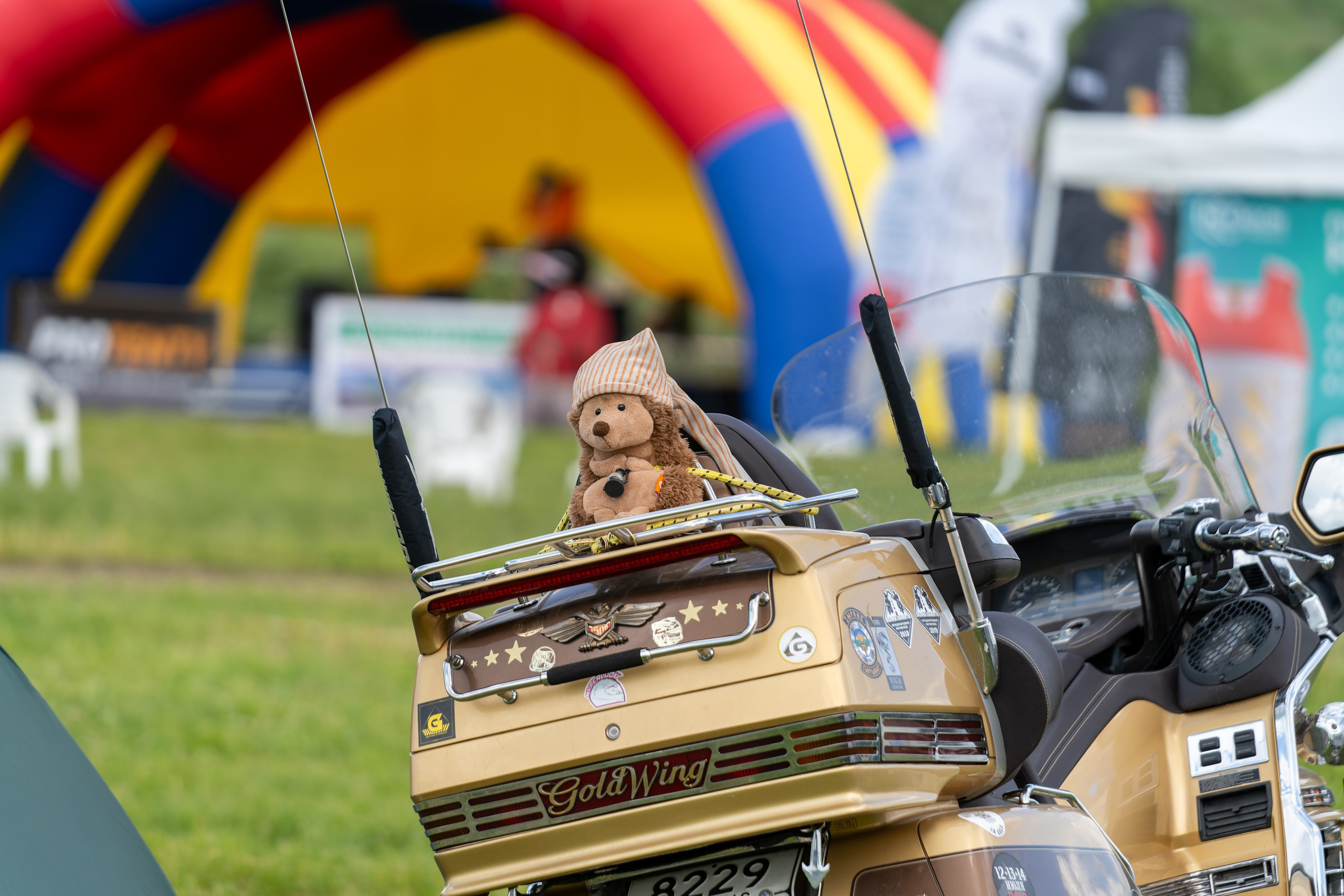 Фотограф на прогулочную фотосессии, фотосъёмка в парке, фотосессии в цветущем саду, студийные фотосессии. «Студия DRONAVT`s» — видеосъёмка и фотография г. Москва