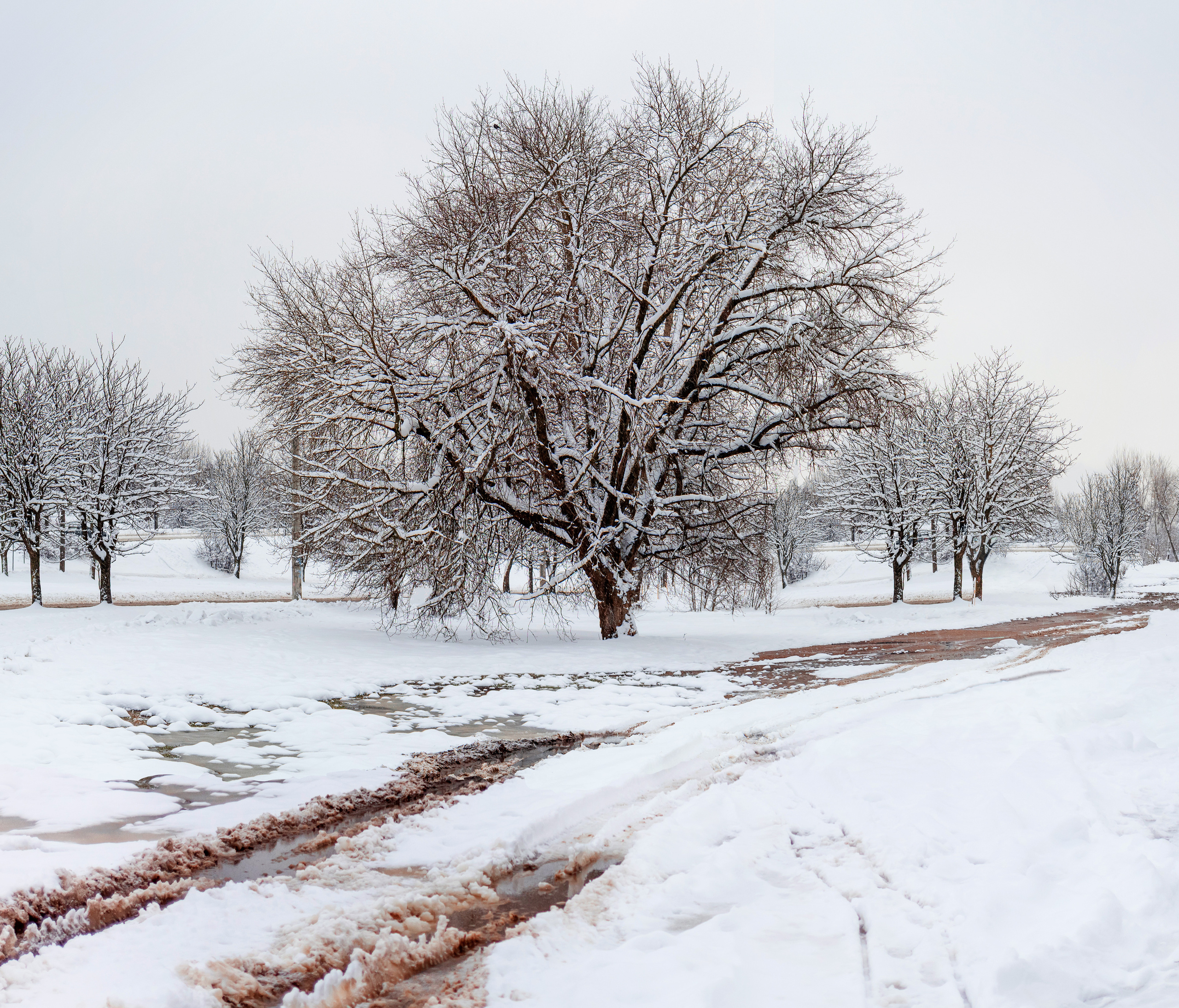 Зимняя сказка. Семейный фотограф в Минске Приболовец Светлана