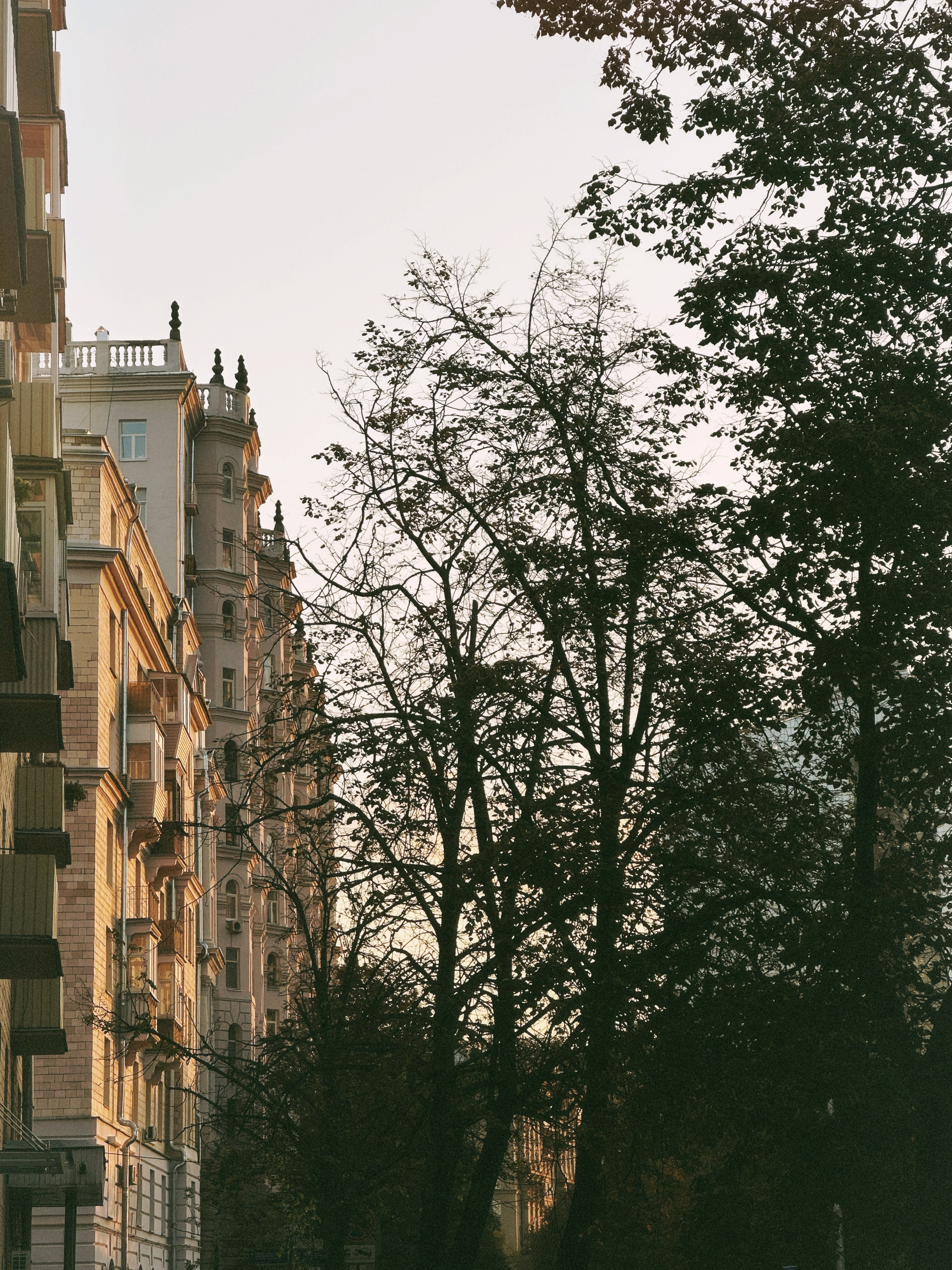 МК Мобильная фотография. Wedding photographer