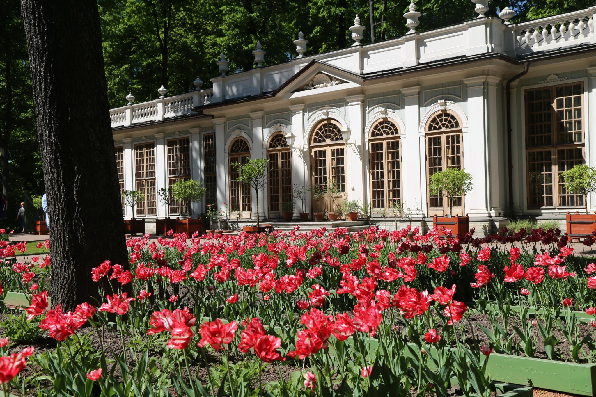 Съёмки в парках и садах Петербурга