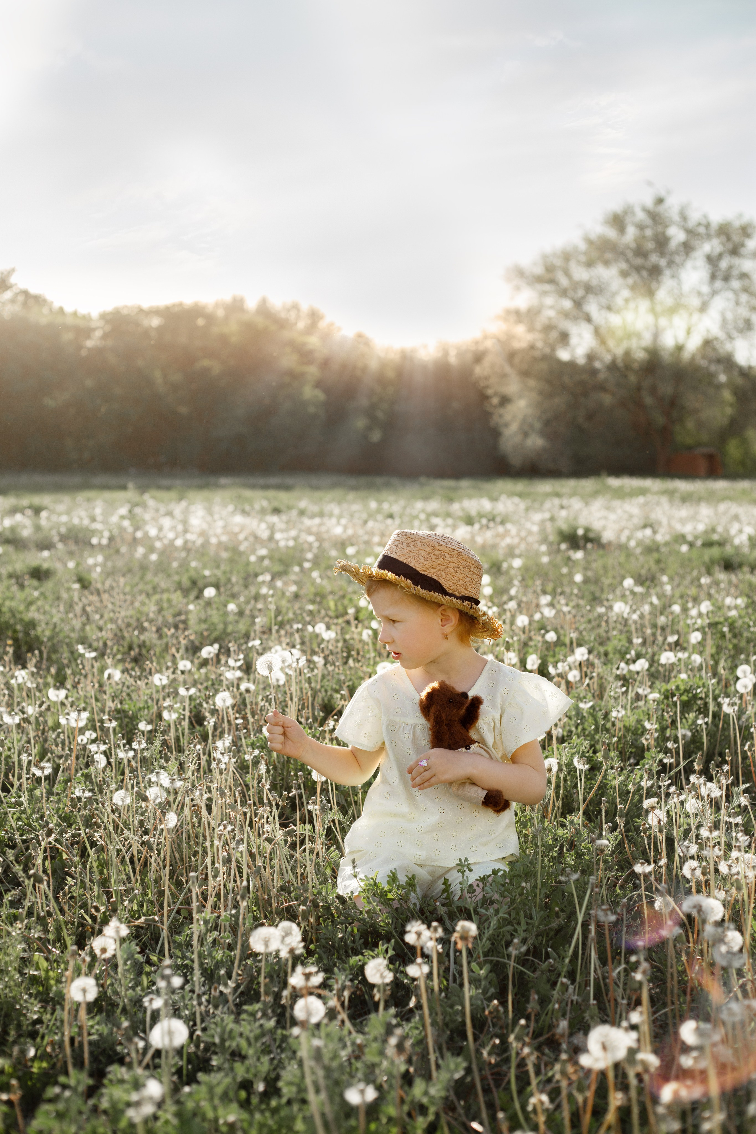Одуванчики. Фотограф в Новосибирске Краснова Евгения