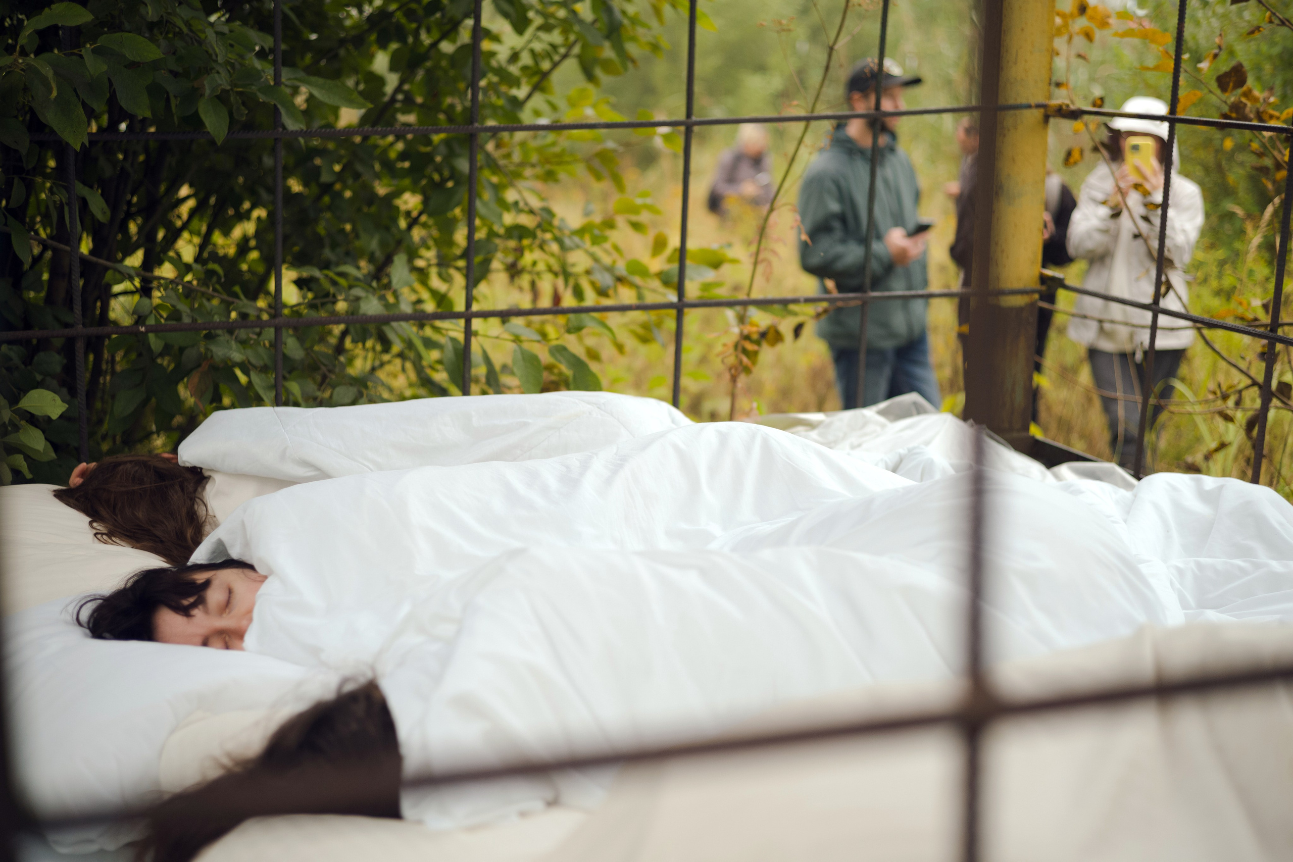 Красненькая биеннале 2025