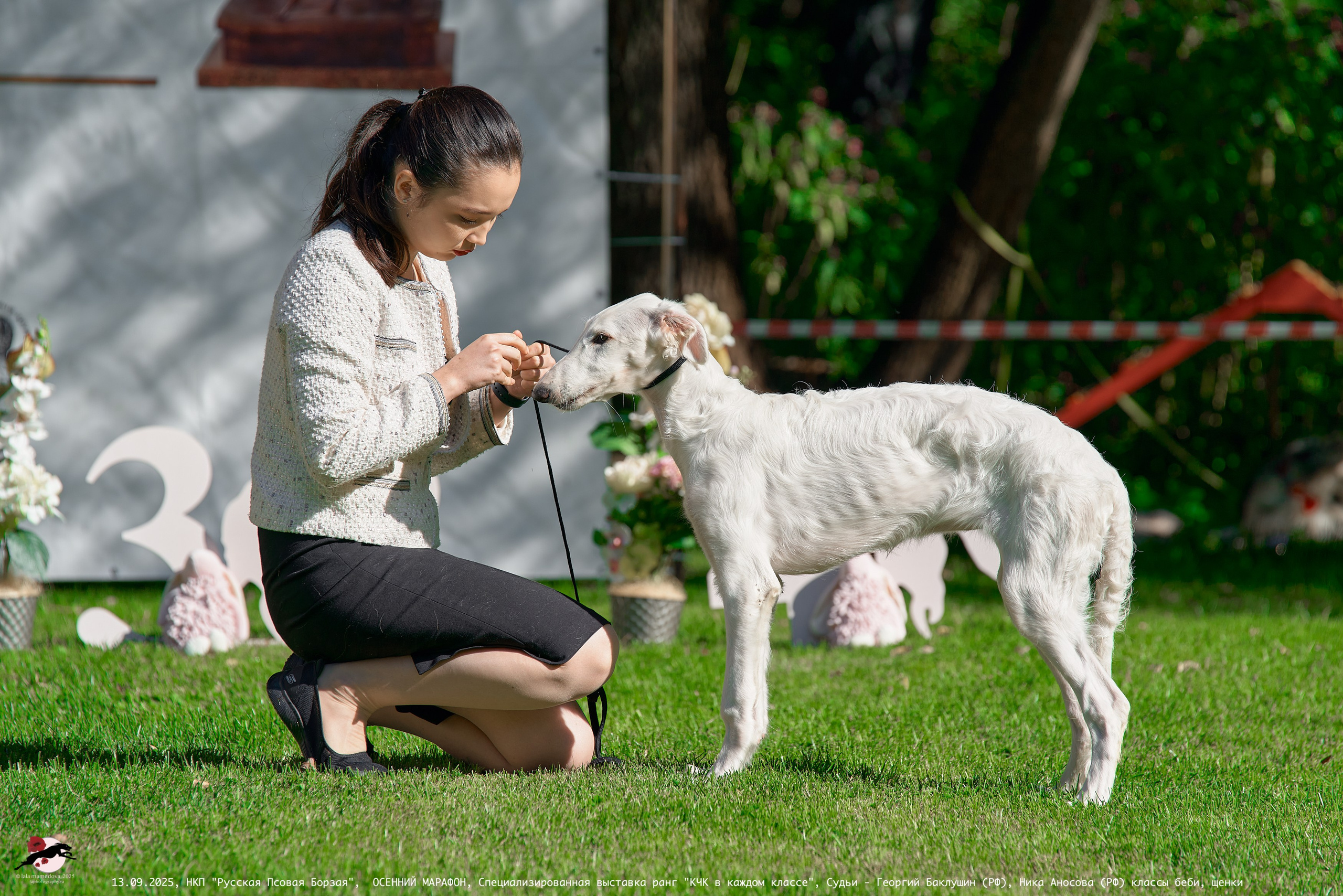 ОСЕННИЙ МАРАФОН | Специализированная выставка породы Русская Псовая Борзая ранг "КЧК в каждом классе"
