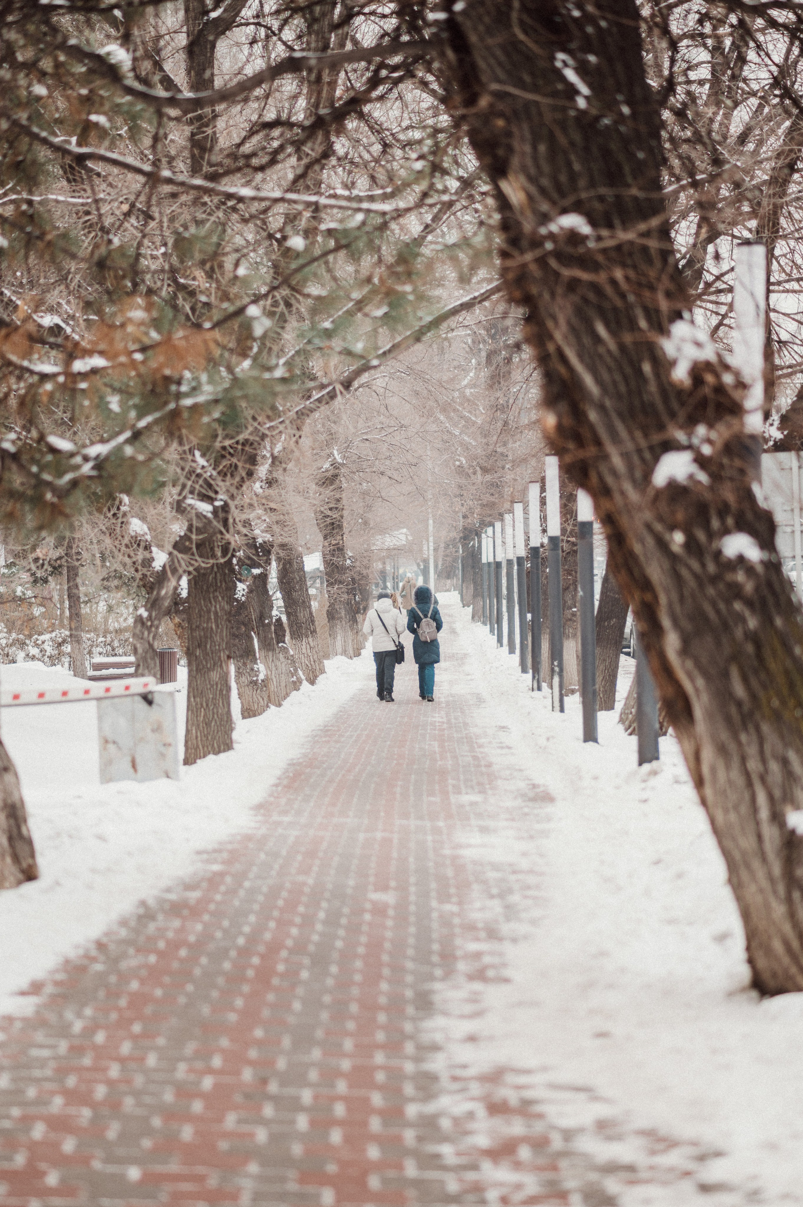 Стрит Алматы: зима 2024. Фотограф в Алматы — Дарья Фёдорова