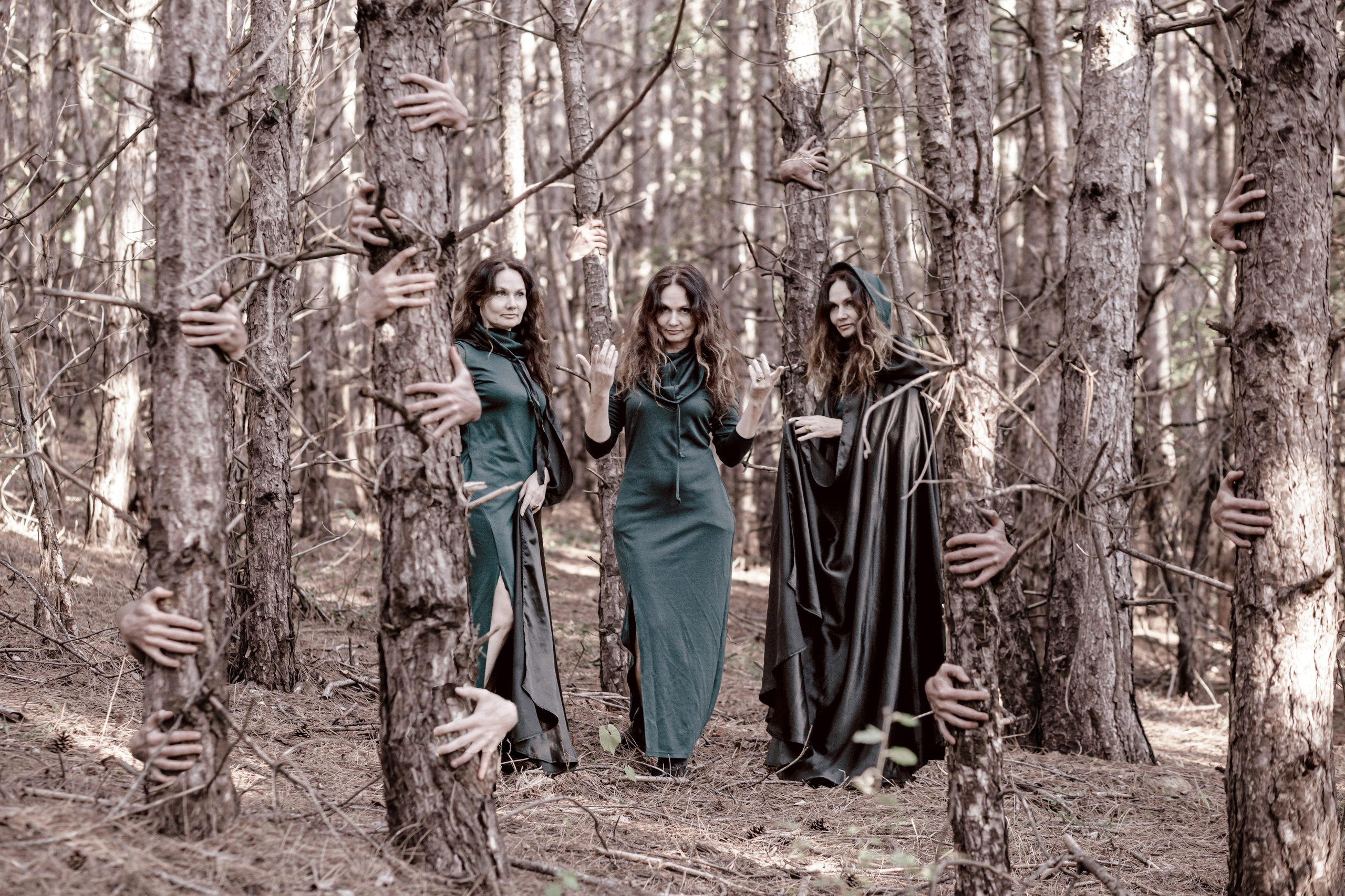 человеческие руки на дереве