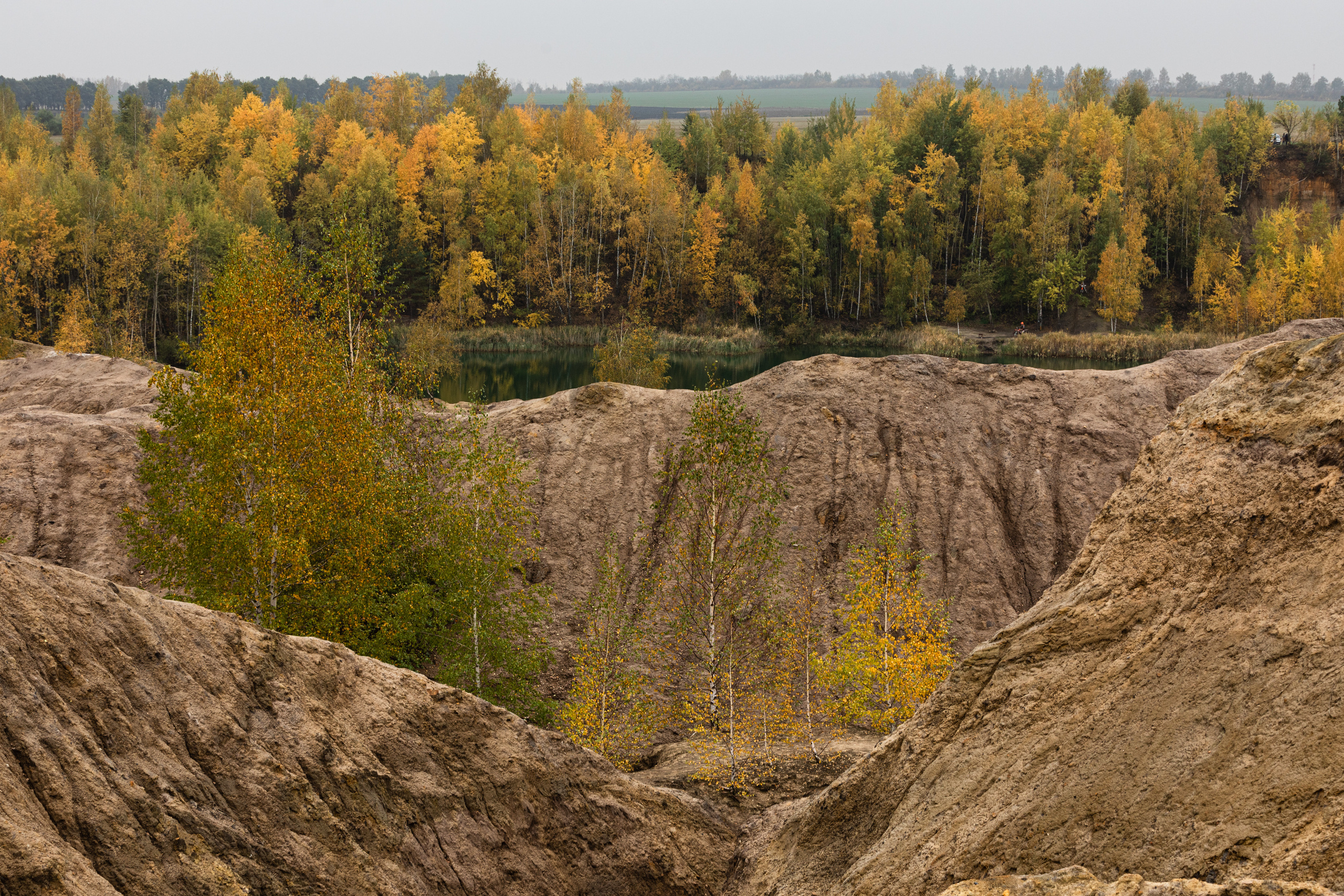 Кондуки осенью