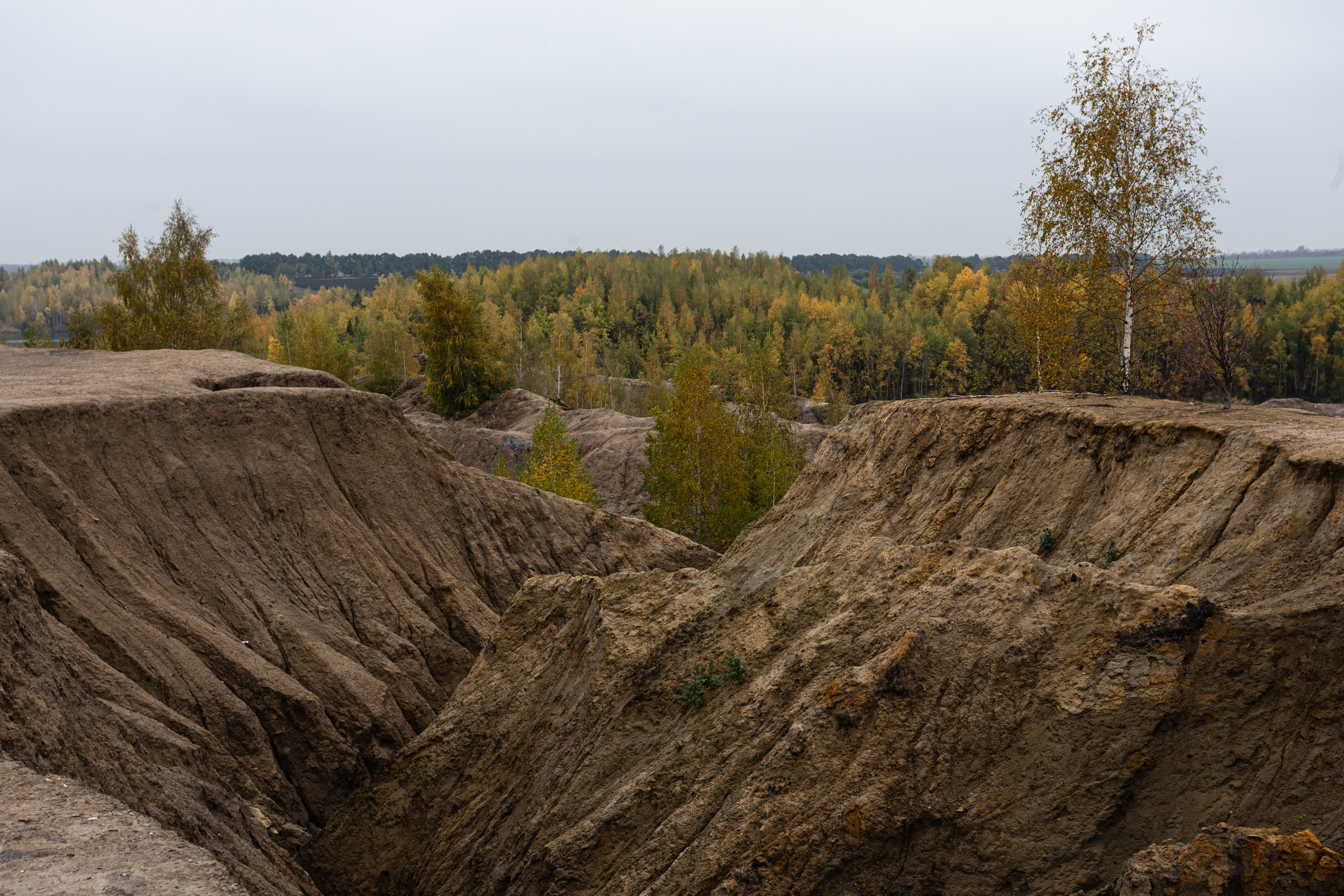 Кондуки осенью