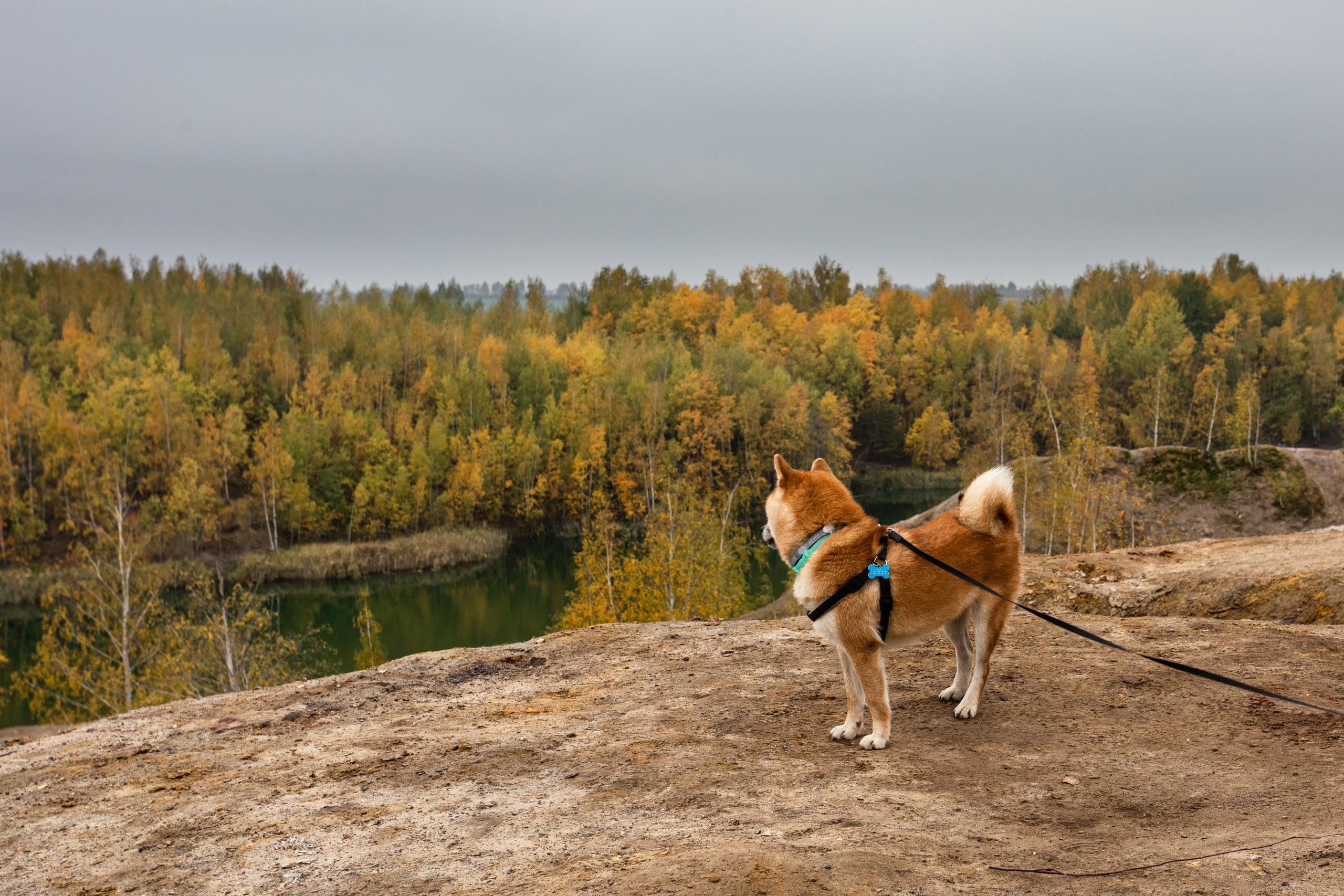 Кондуки осенью