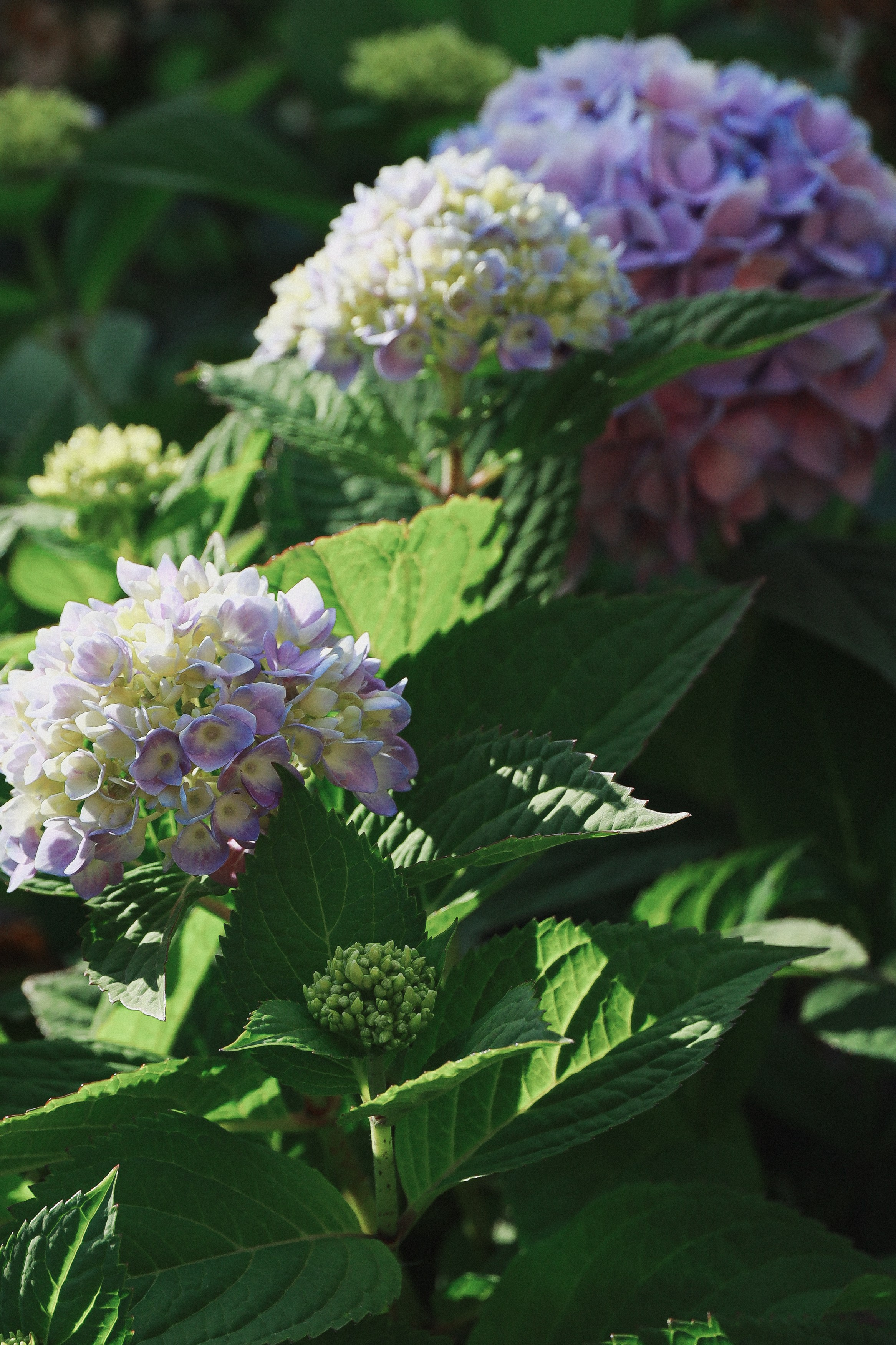Репортаж. Фотограф историй в Челябинске и Екб